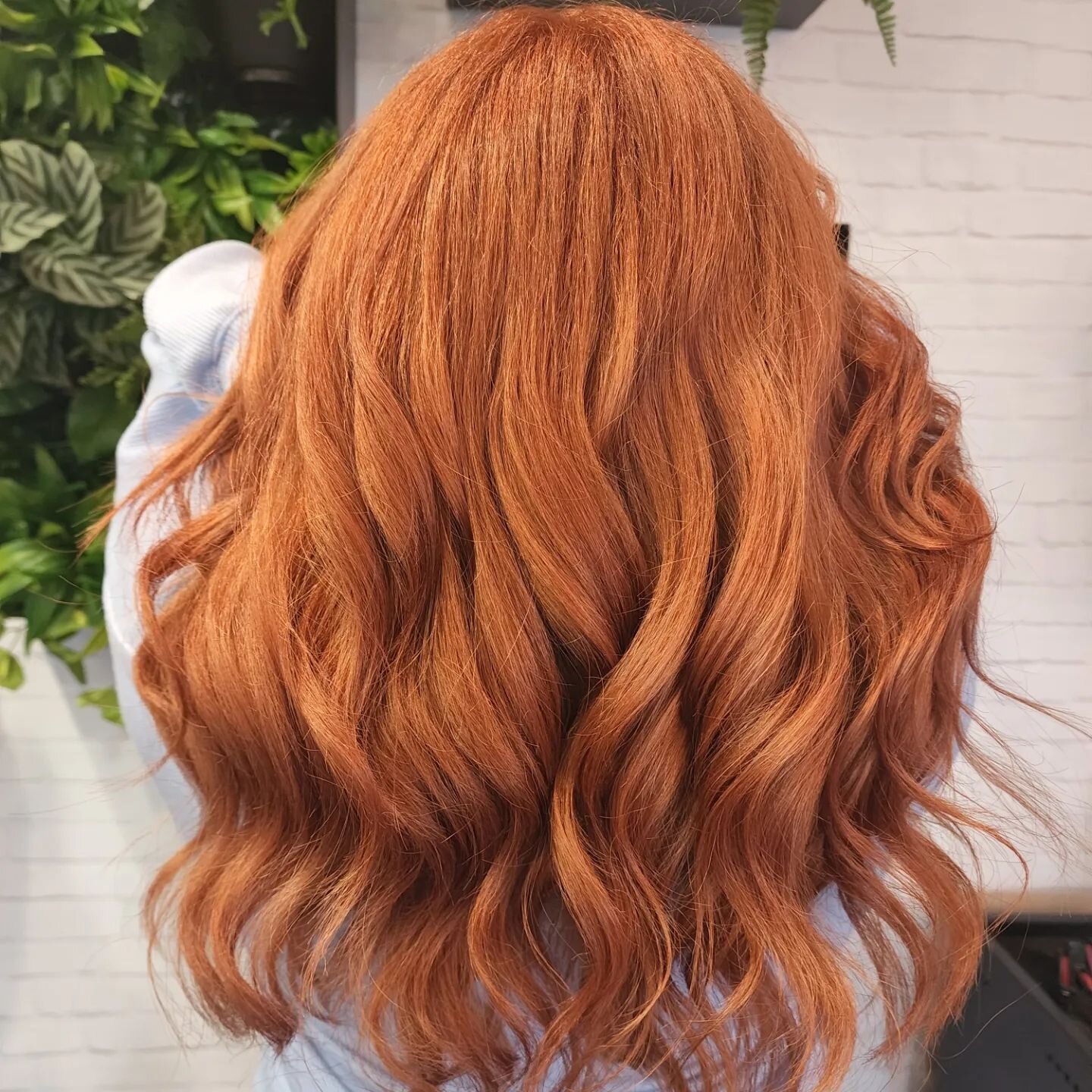Why be Blonde when you can be Copper!

Did you know....Copper is one of the most flattering hair colours and can suit most skin tones.

Why not try a shade of copper on your hair at your next visit to Le Garage.

Before and After ➡️
Hair by Amanda

#