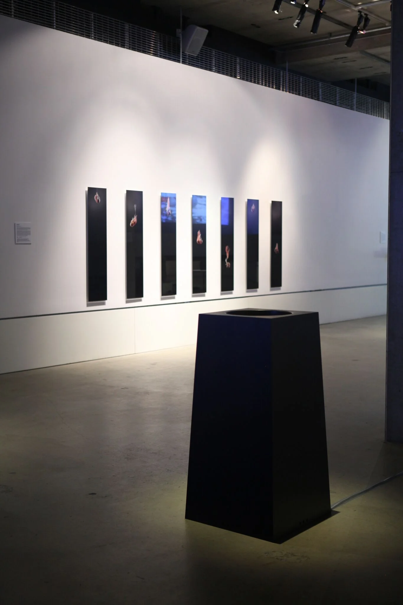 resonance at spectra exhibition 2.jpeg