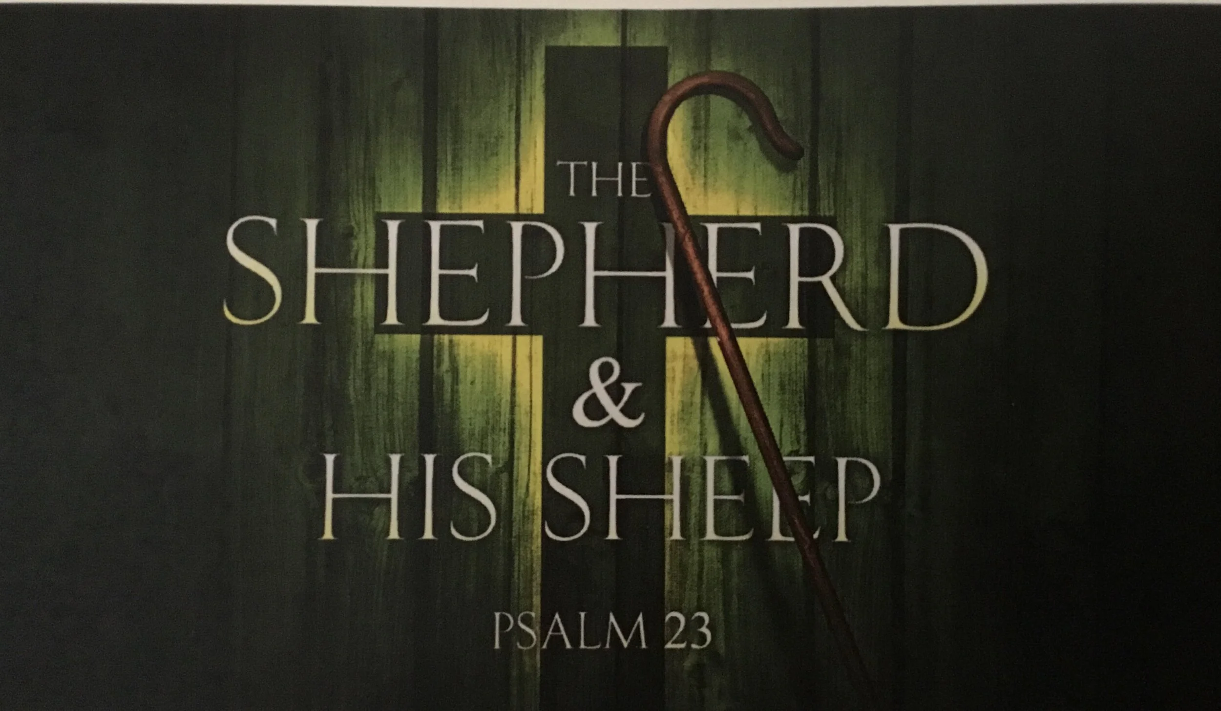 The Shepherd &amp; His Sheep Psalm 23:2a - Makes Me Lie Down
