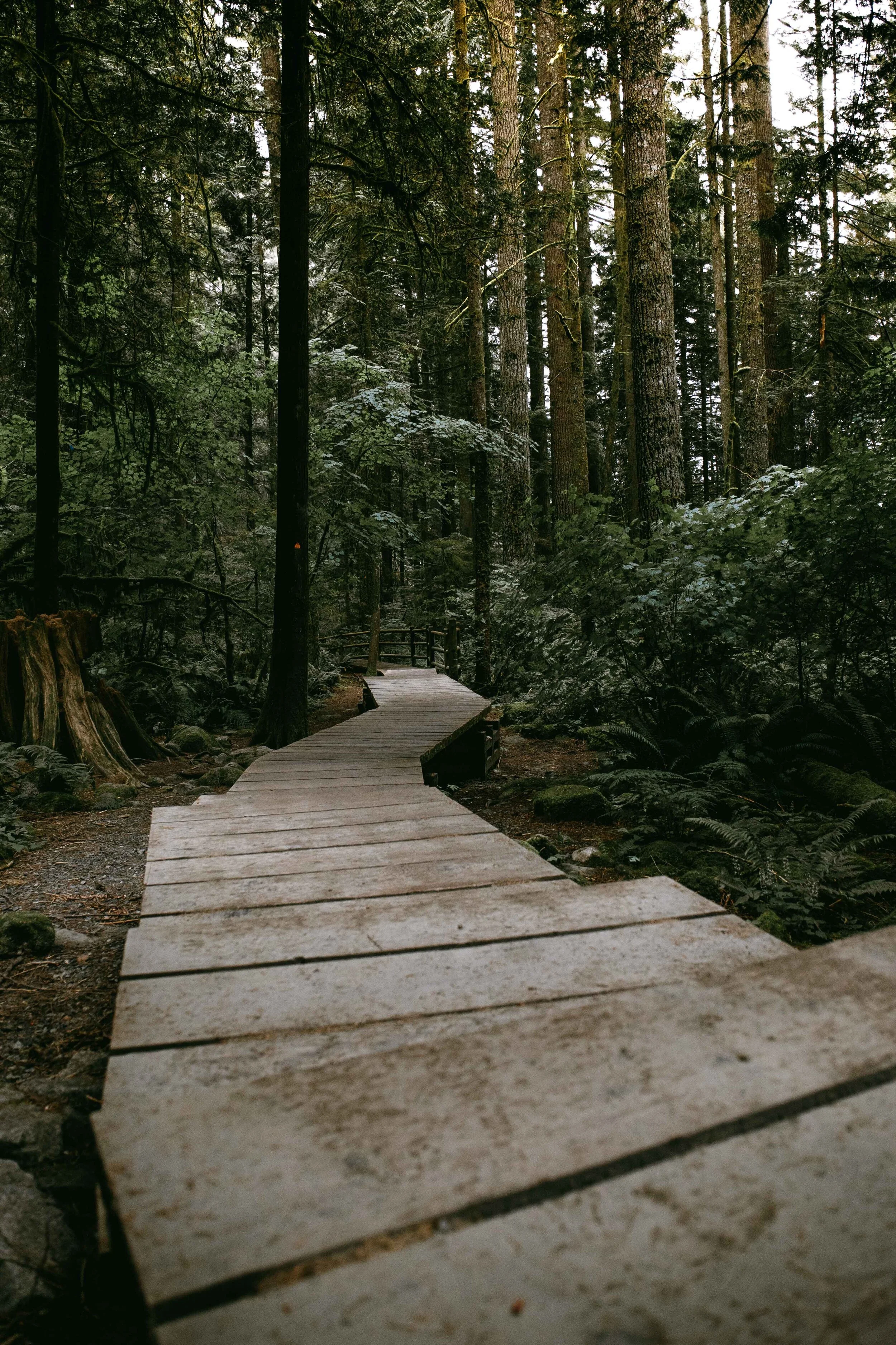 the-bialons-e-xD5mAXUHA-unsplash.jpg