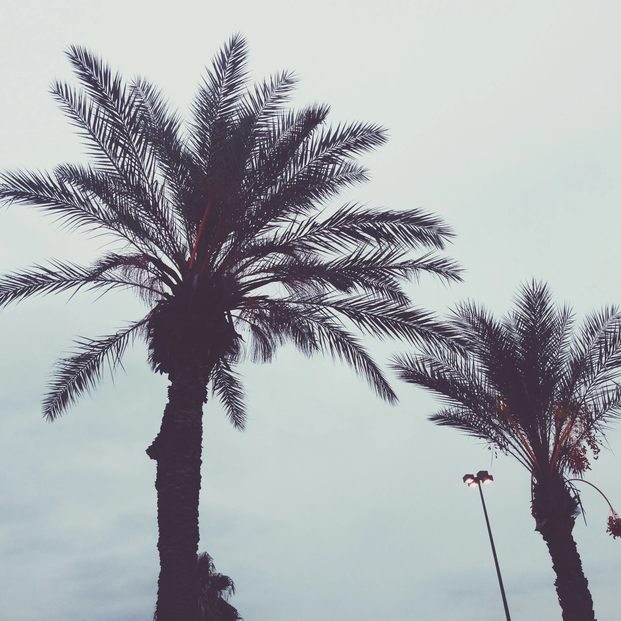 Mi Hometown
