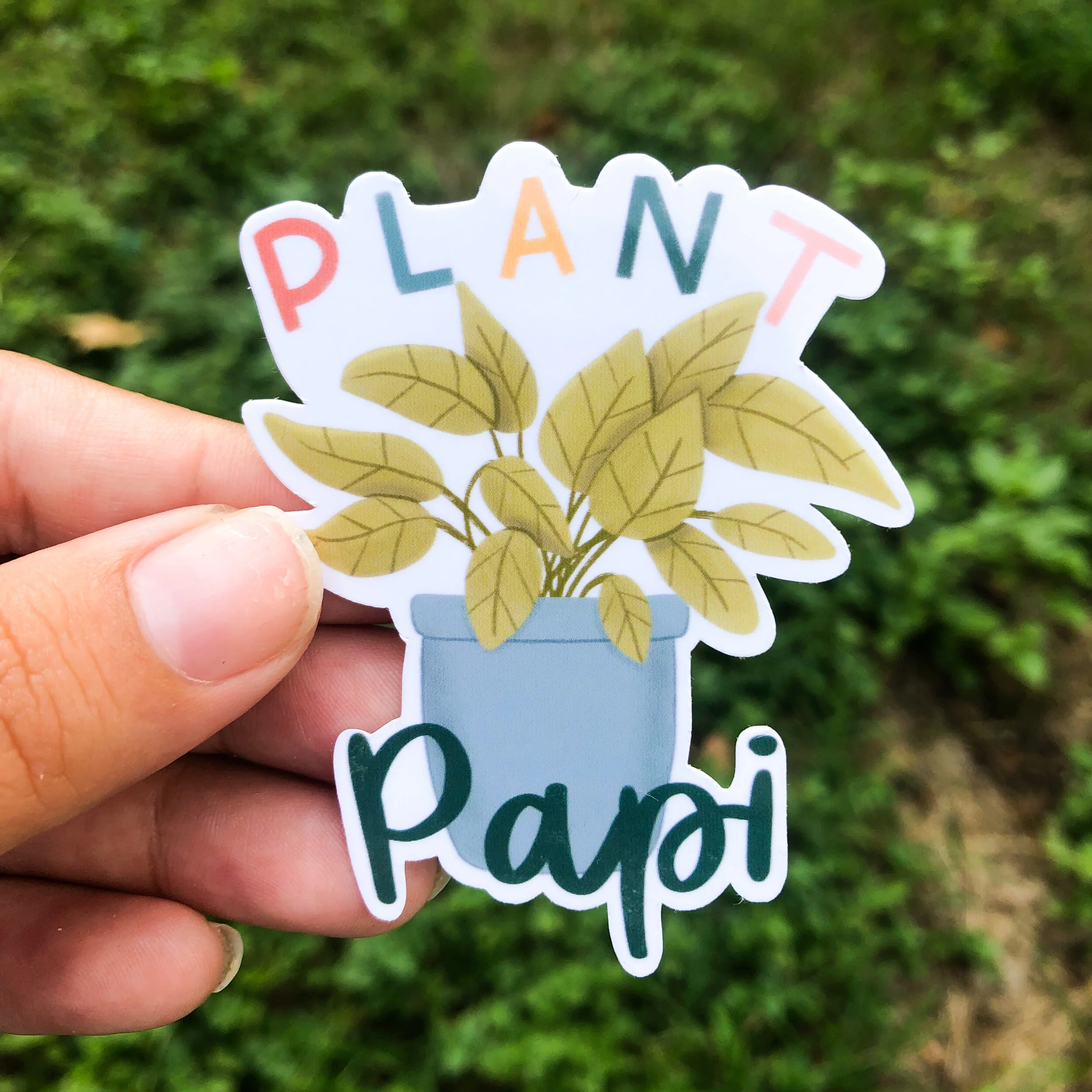 Plant Papi Sticker | Houseplant Lover | Plant Parent Gift | Die-cut, Laptop, Waterbottle, Hydroflask, Waterproof Sticker