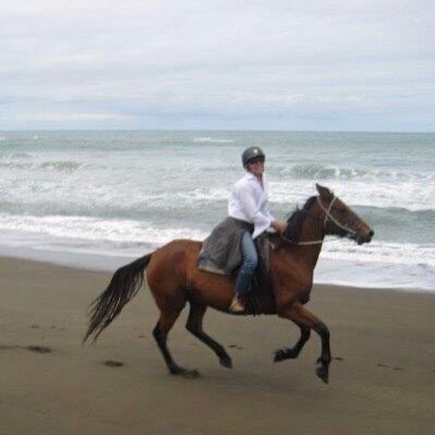 Got a happy face in my happy place. This was a few years ago /  an amazing 4 hour horse trek at the end of the East Cape on the north island of Aotearoa New Zealand. #newzealand #northisland #horsetrekking #beachlife #eastcape #horseriding #travelnz 