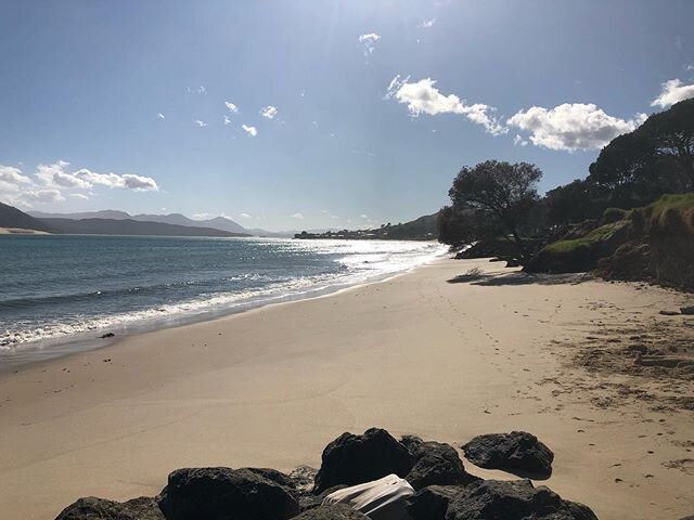 Omapere Beach,  Hokianga Harbour, far north New Zealand, May 2020. A lovely walk from @teataholidaycottage #hokianga #beachlife #to farnorthnz #aotearoa #holidayhouse #holidayrentals #weekendgetaway