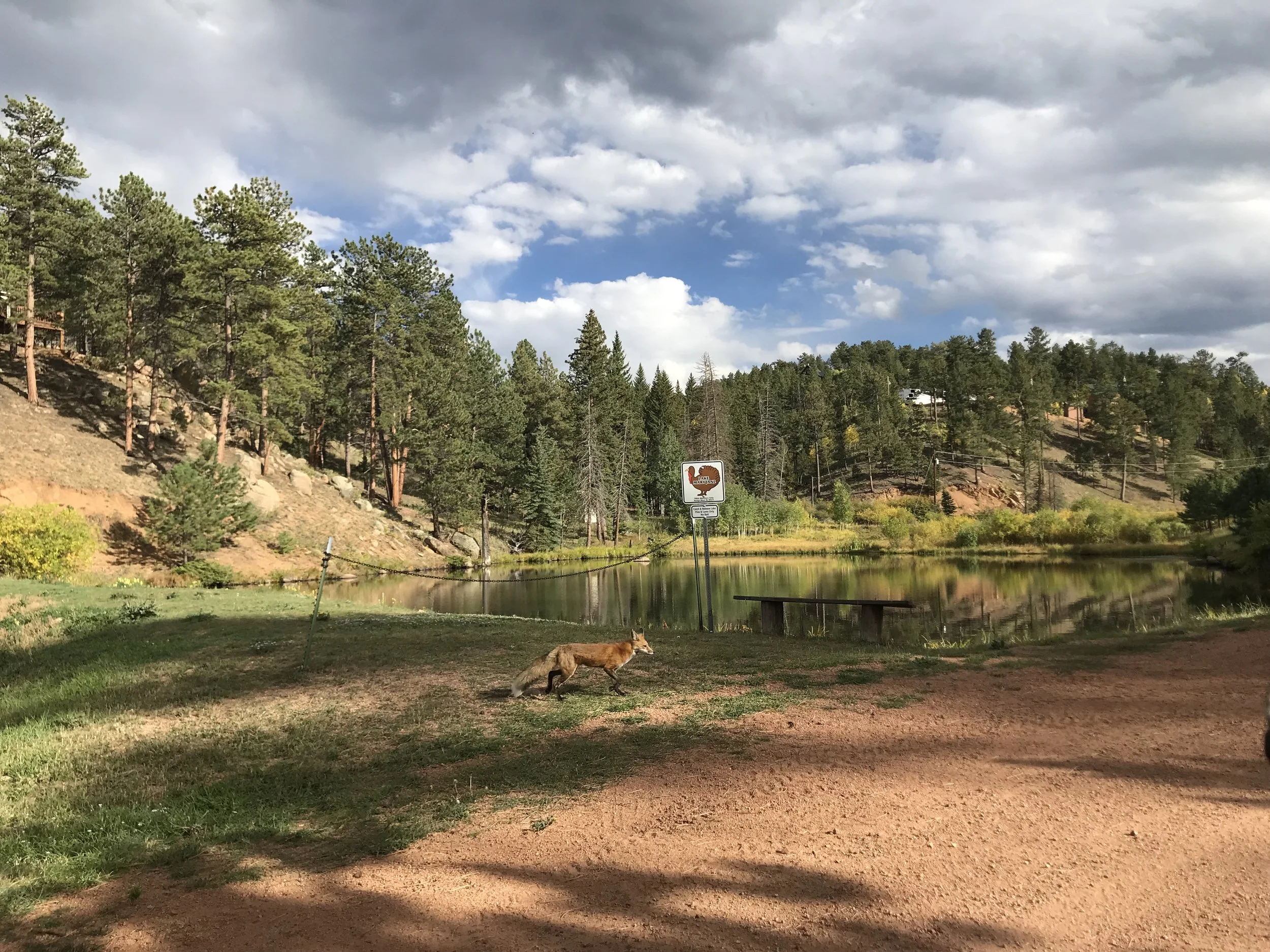 Membership Overview.jpeg