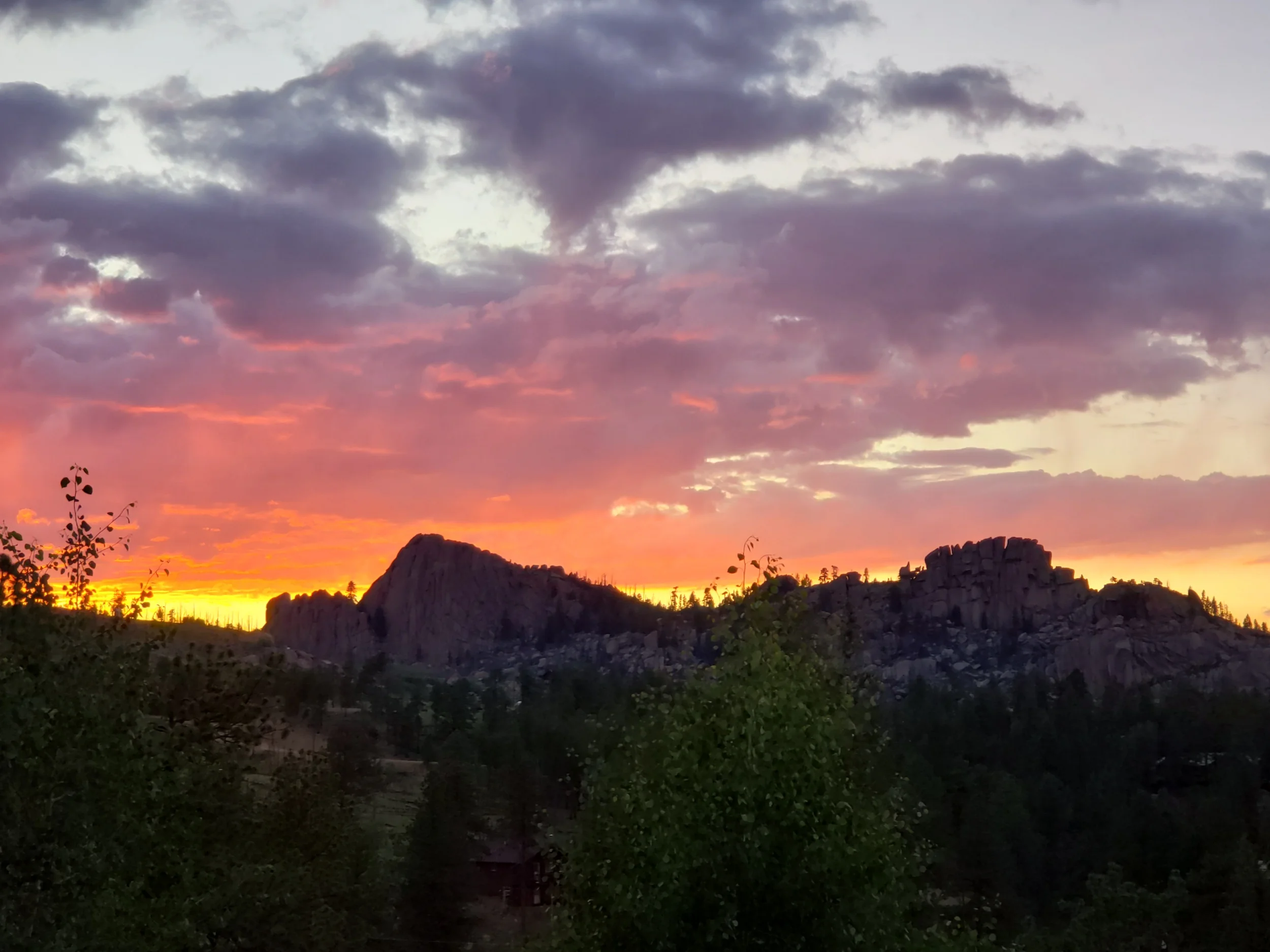 processed_20190712_203420.jpg