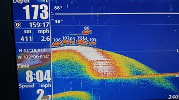 fish rod sonar image.jpg