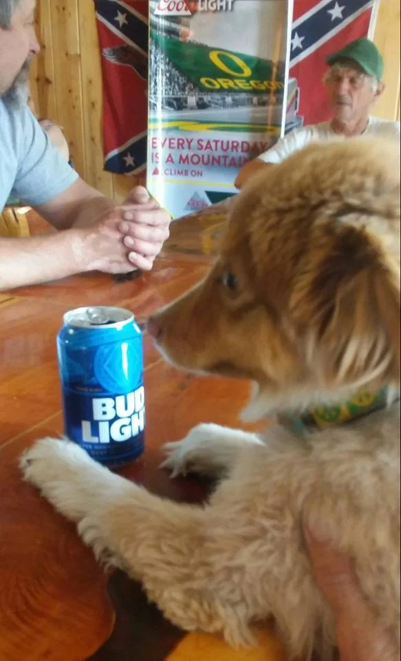 teddy bar.jpg