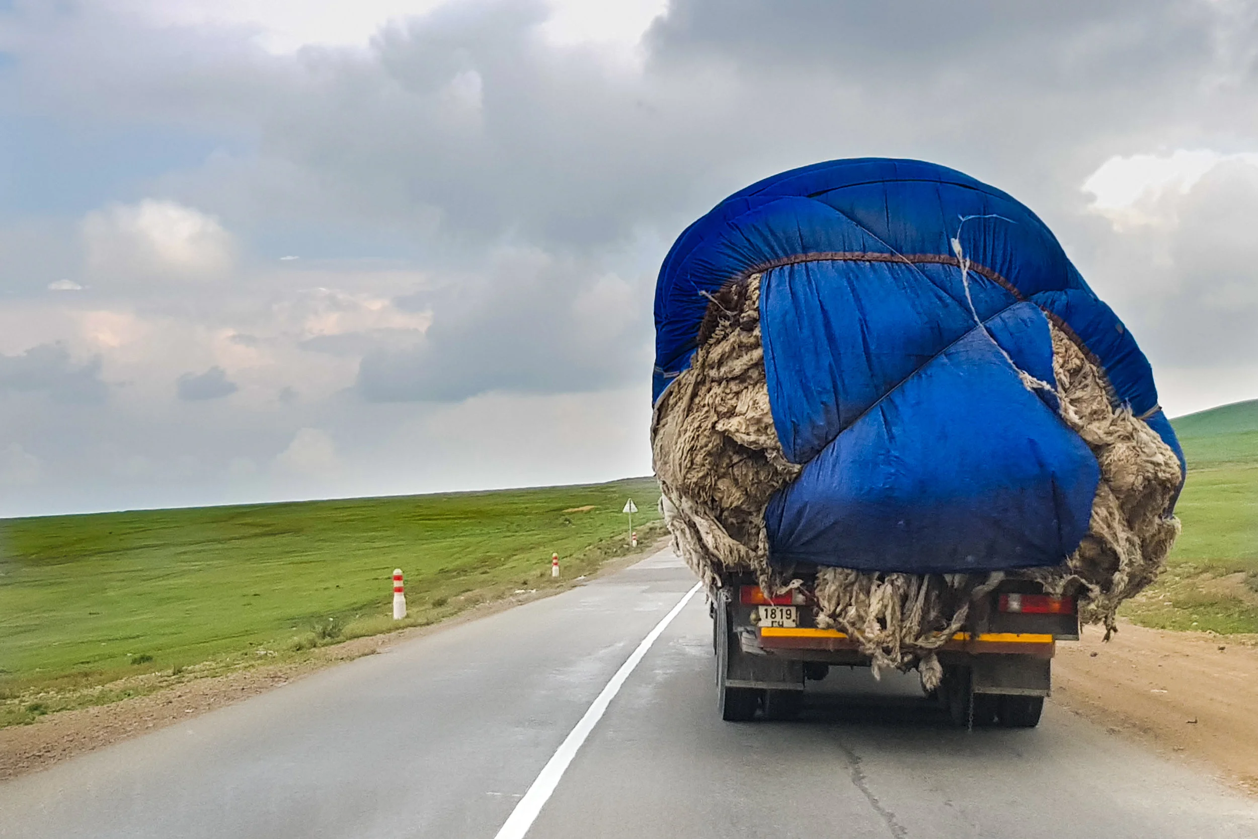 Mongolia Focus: Moving Toward Higher-Value Cashmere Exports