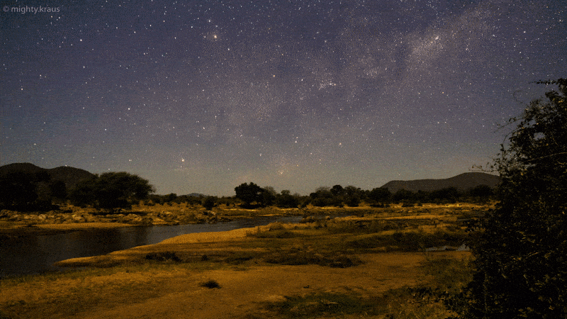 Ruaha National Park, Tanzania, 2017