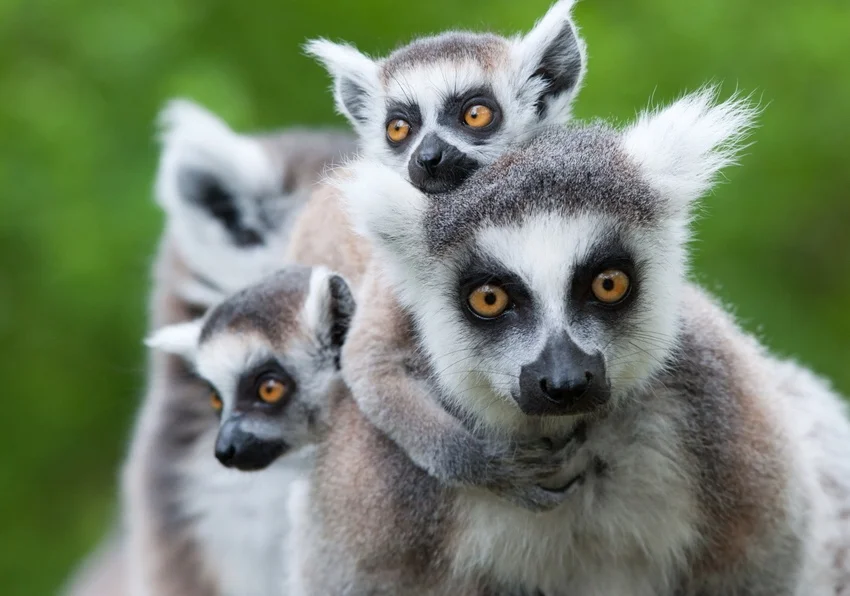 Getting Ready For My First Adventure 