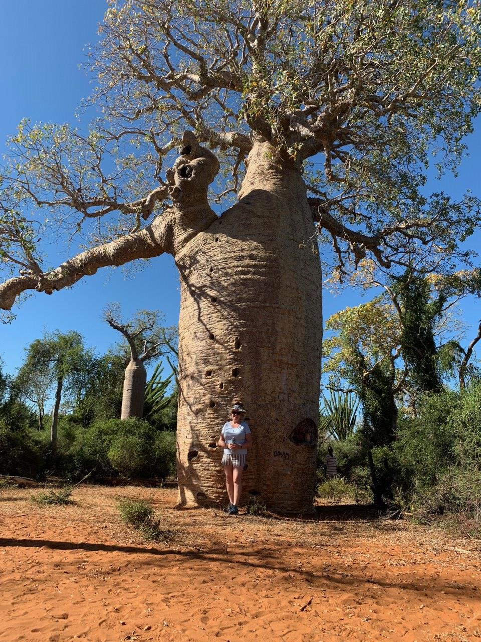 Me and the massive baobab tree .jpg