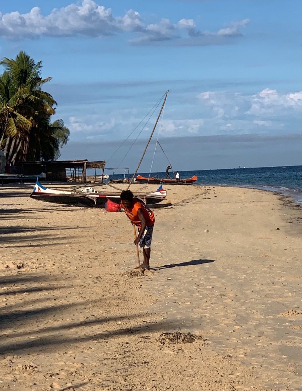 Collecting seaweed on the beach at Ifaty.jpg