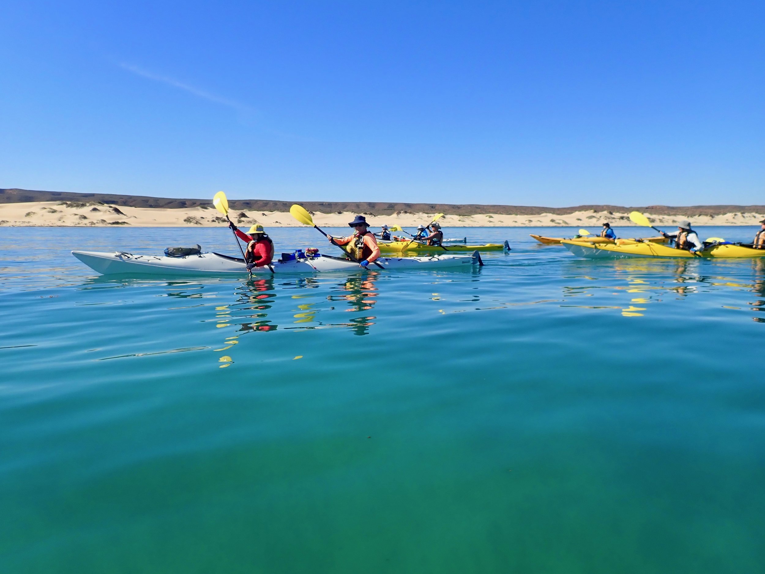 Crystal clear waters of Ningaloo.jpg