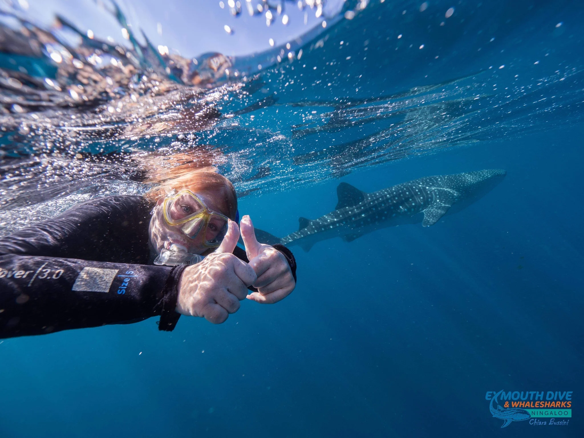 Swimming with whale sharks – a 1 in 3 million opportunity!!!!