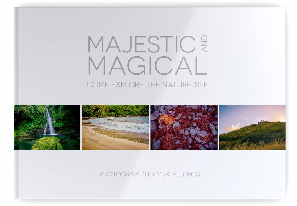Book-Cover-majestic-and-magical.jpg