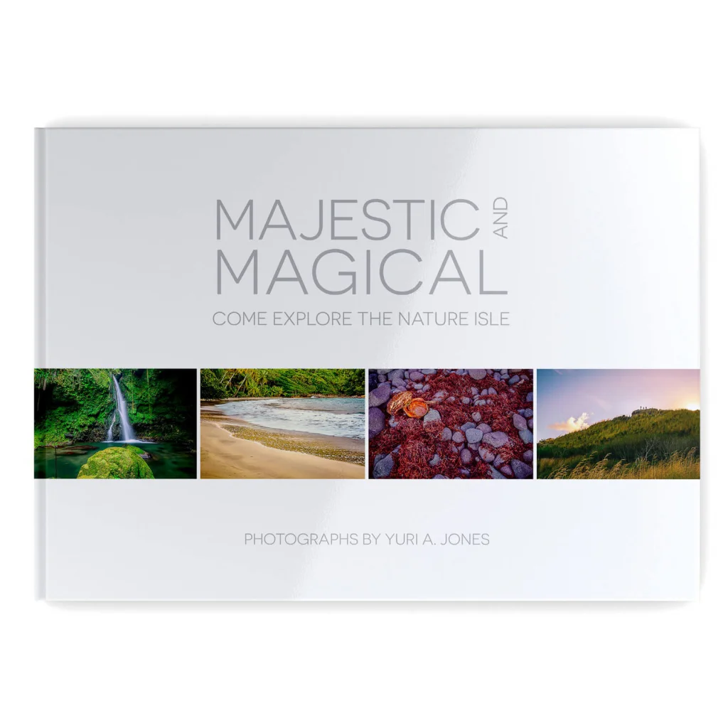 Book-Cover-majestic-and-magical.jpg