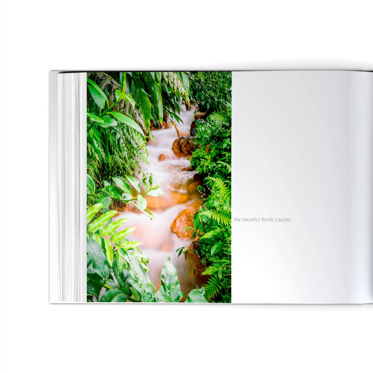 Double-Page-Spread-02a.jpg