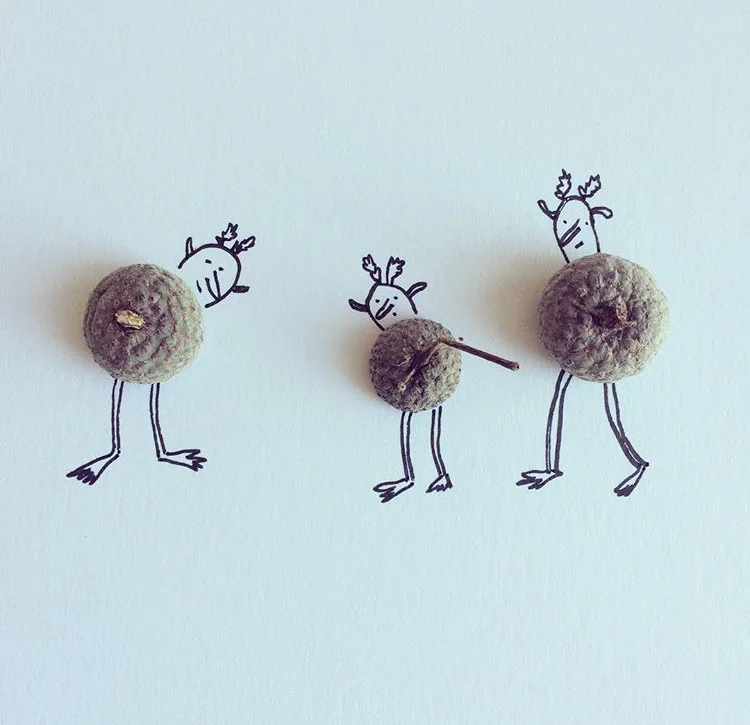 acorn.jpg