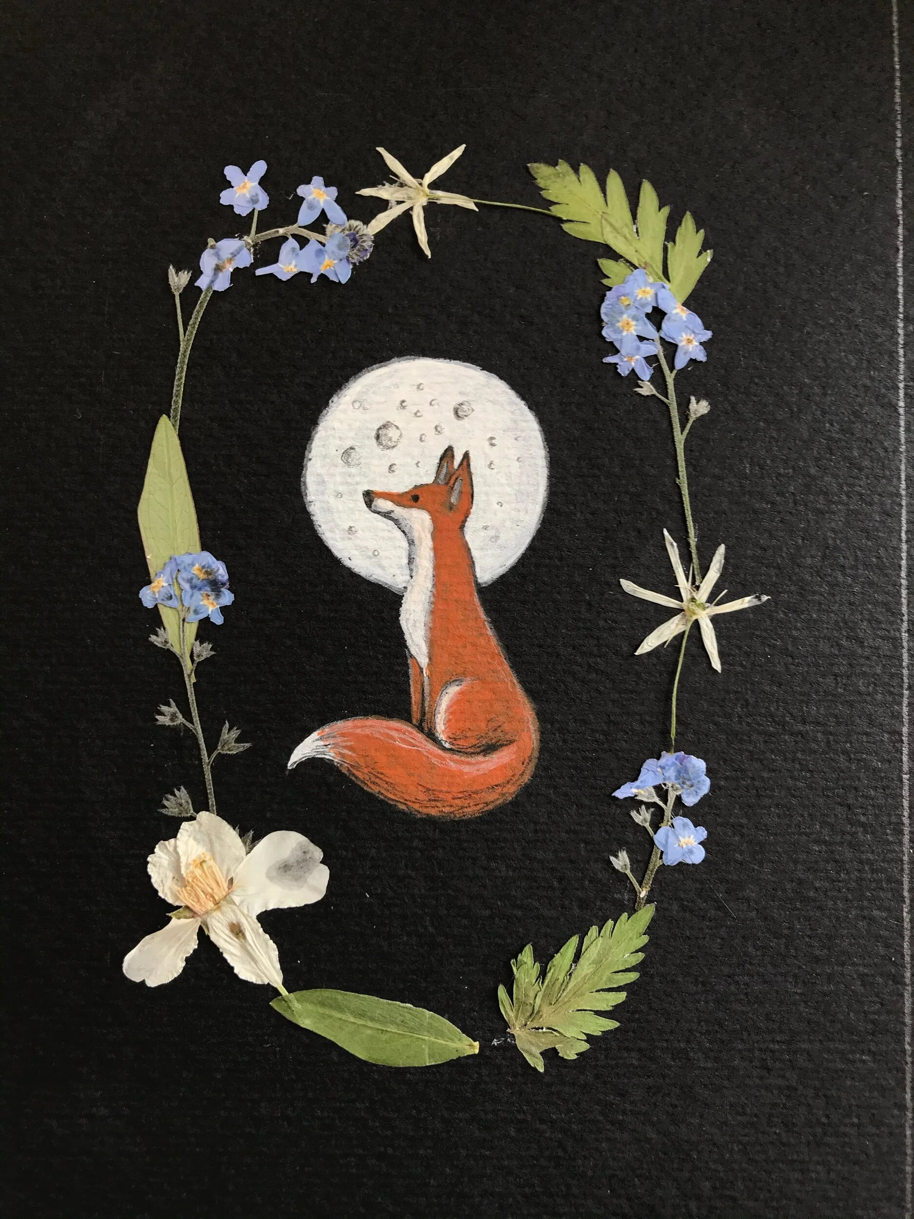 Fox & the moon