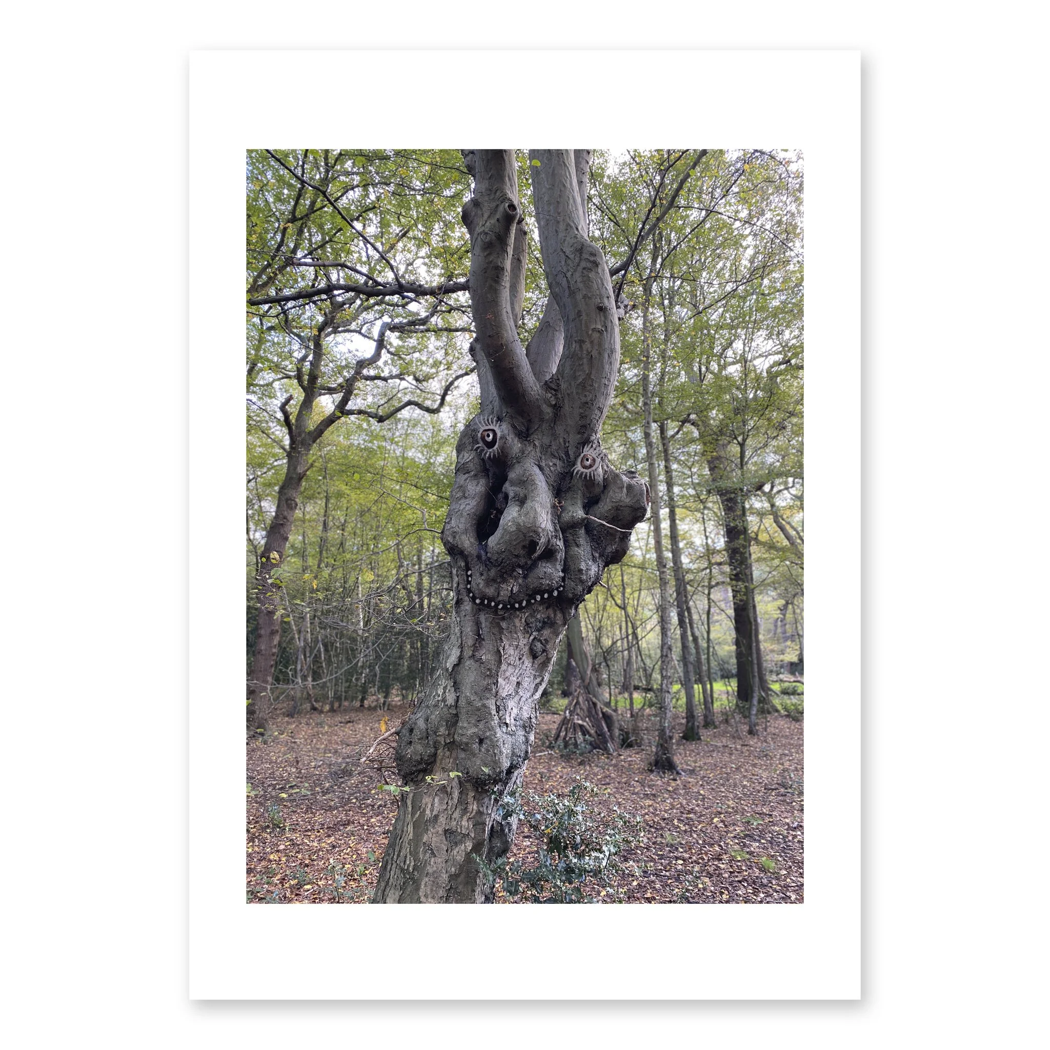 tree person with long eye lashes