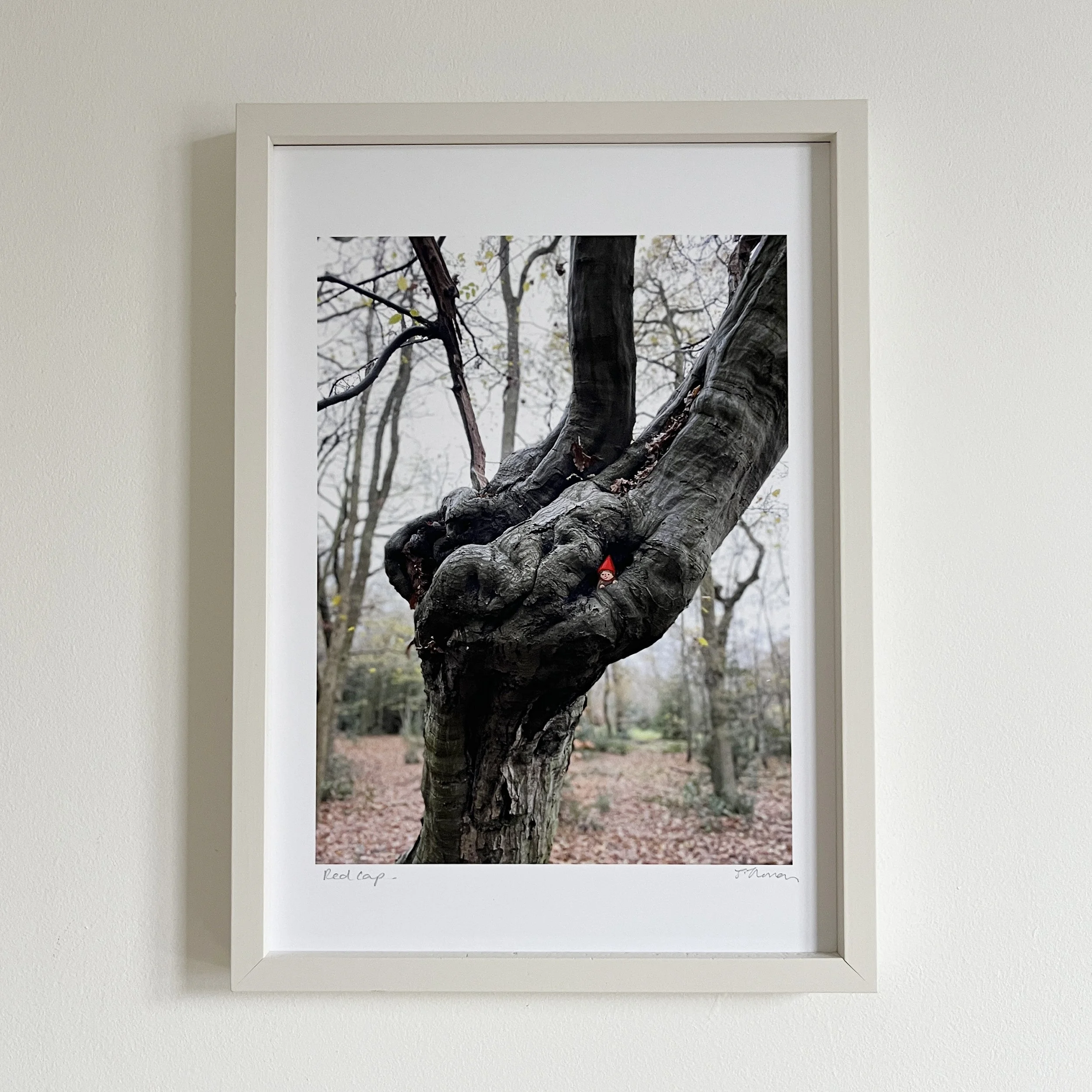 framed-elf-red-cap.jpg