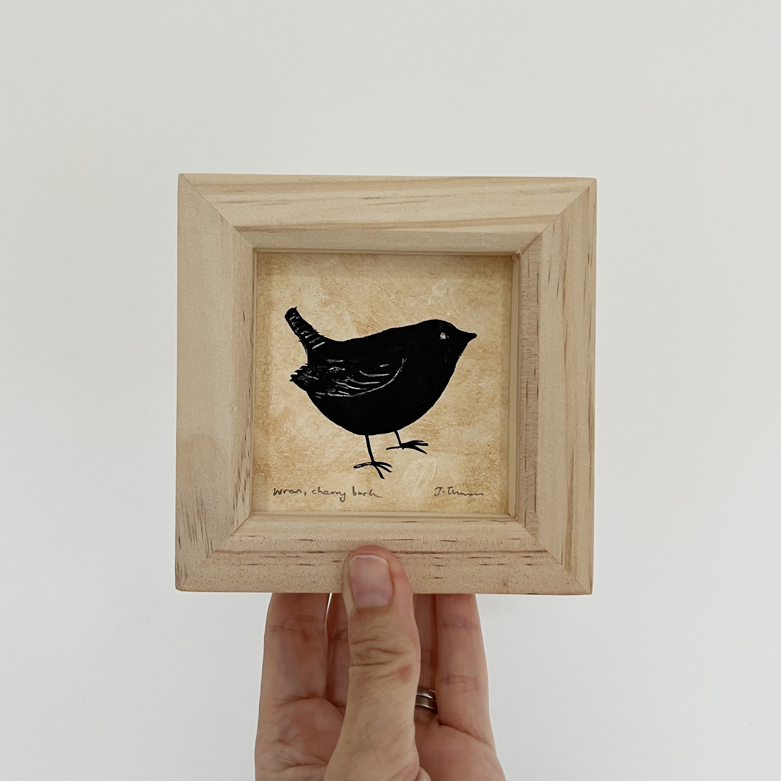 Framed Wren painting £50