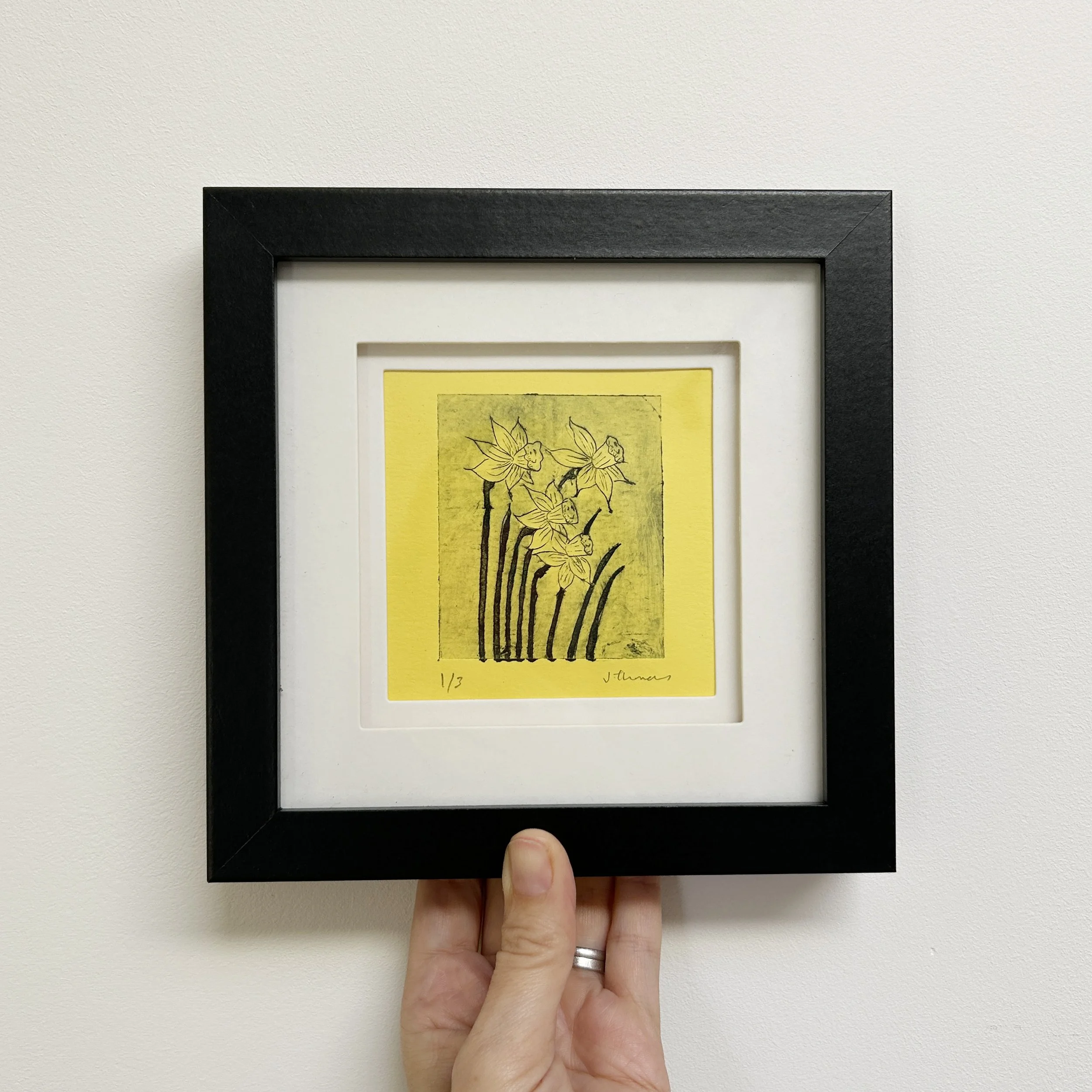 Framed daffodil dry point etching