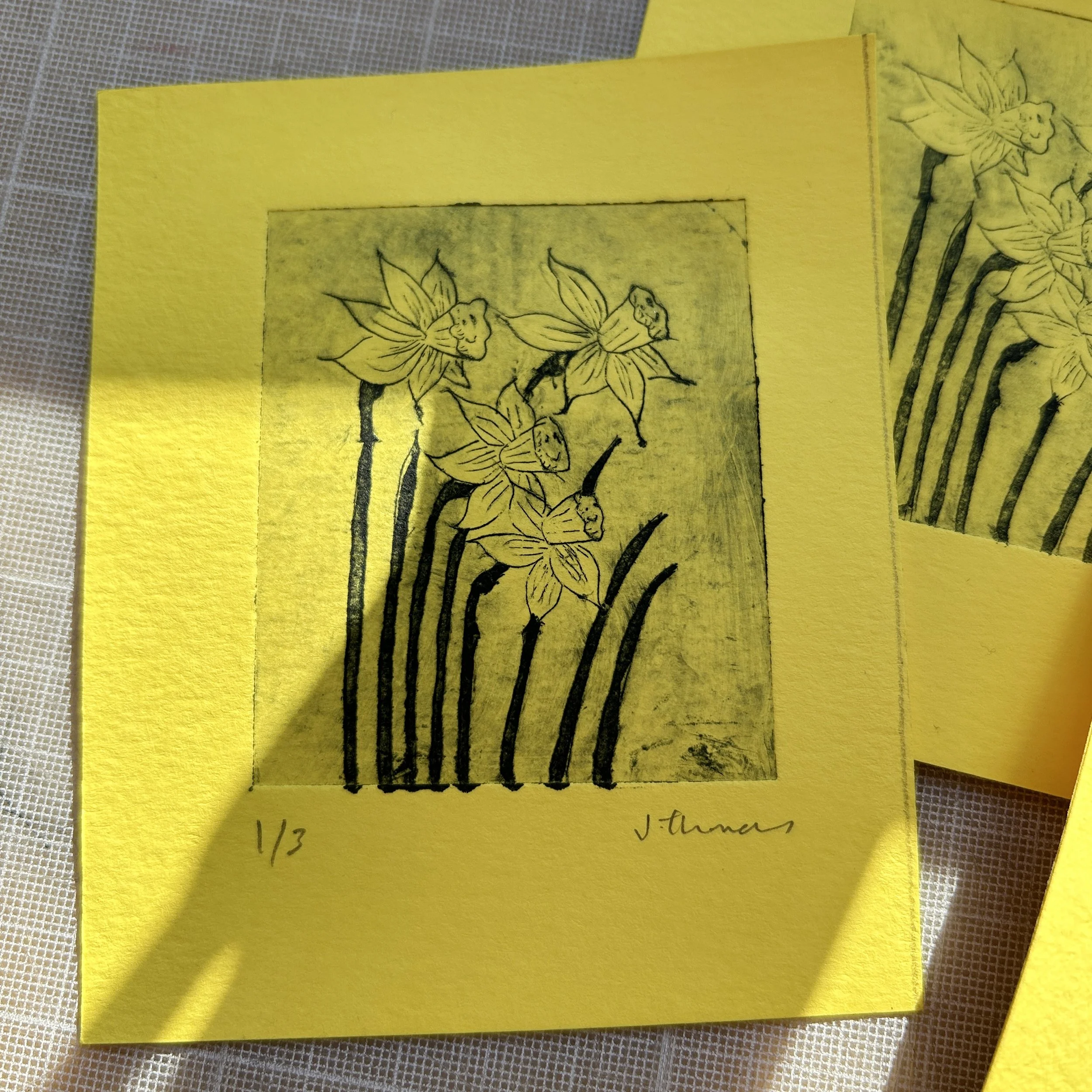 daffodil-etching-prints.jpg