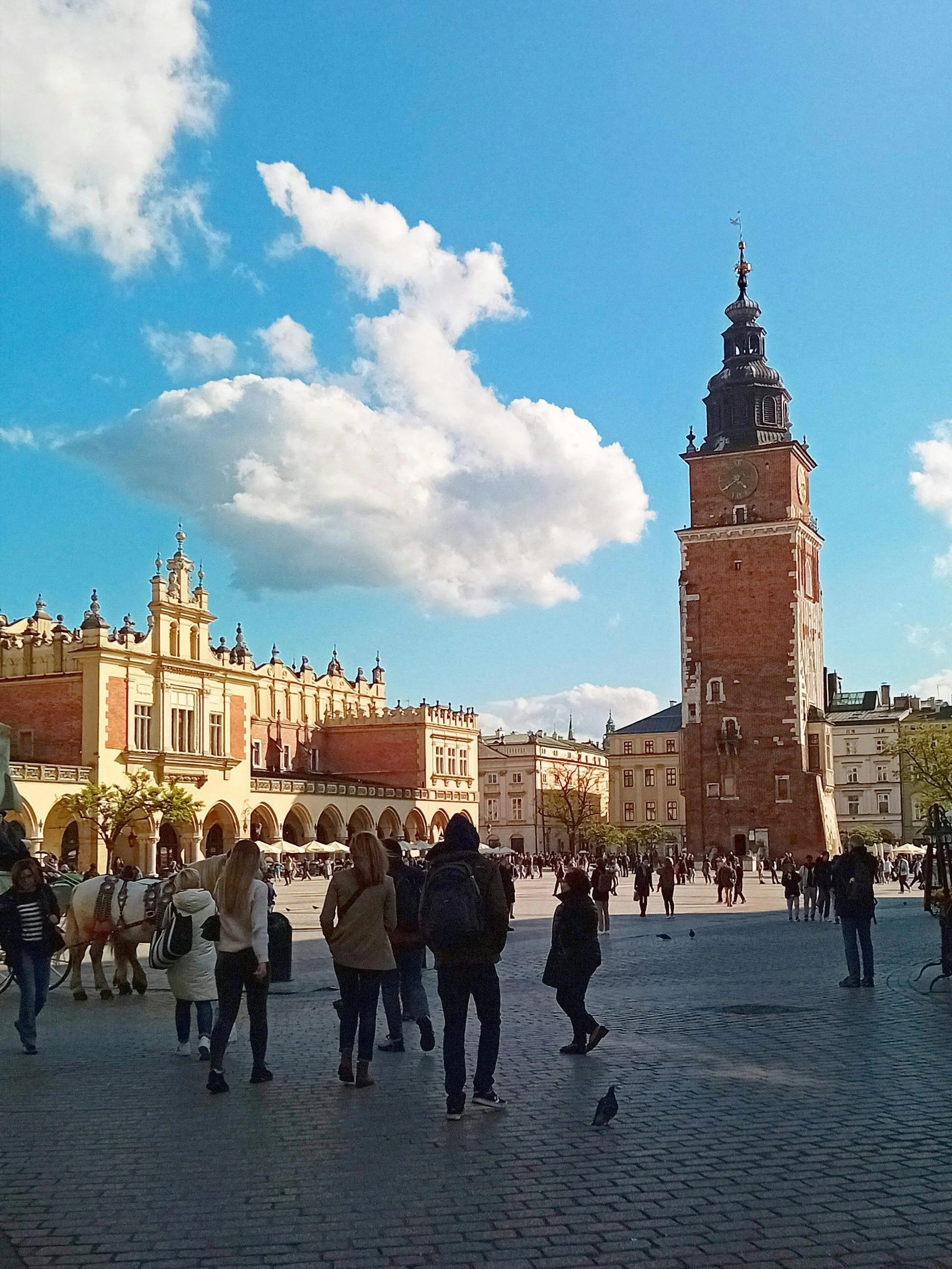 Best Travel Language Tips for More Confident Adventures
