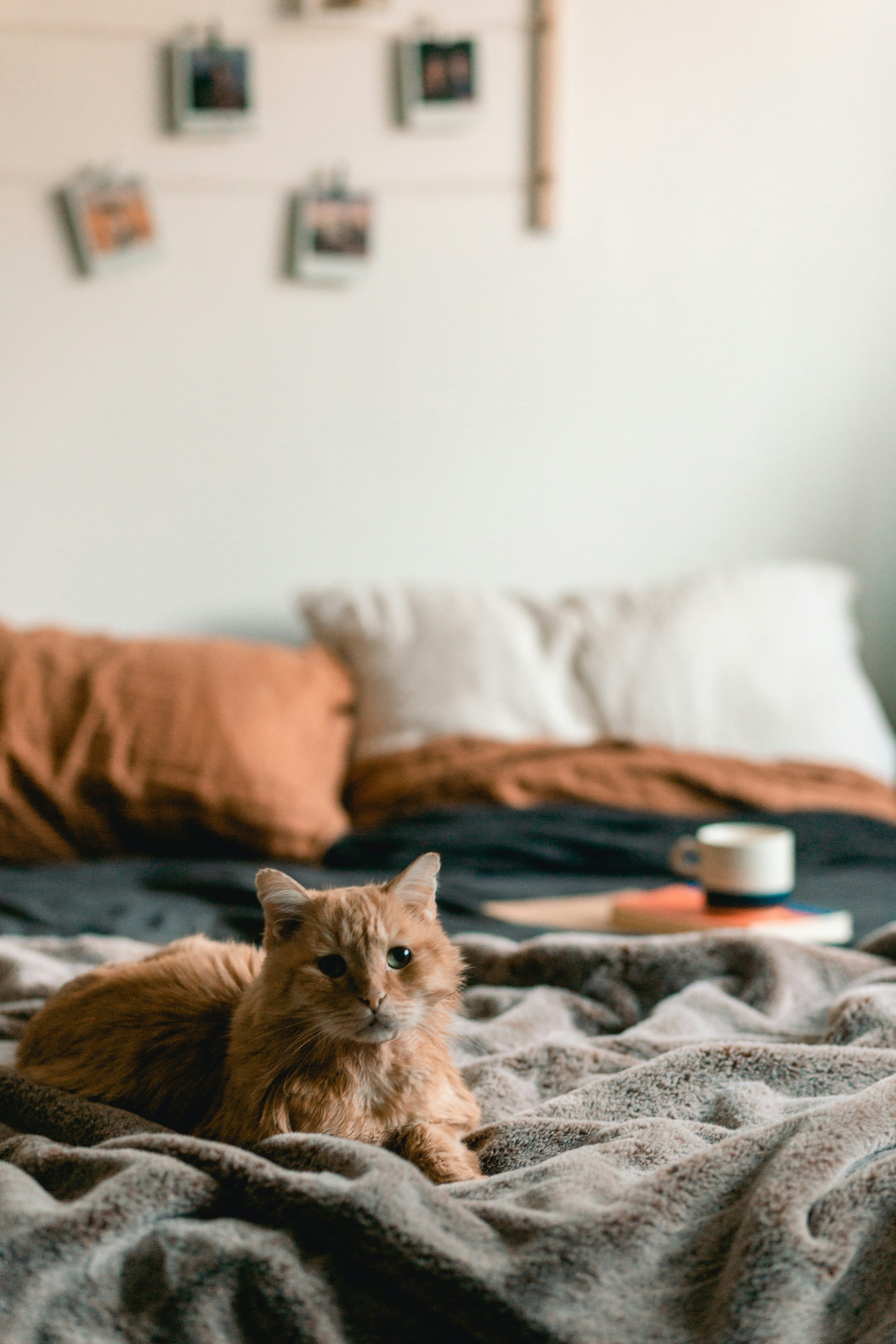 5 Simple Ways to Create a Healthier Home Environment