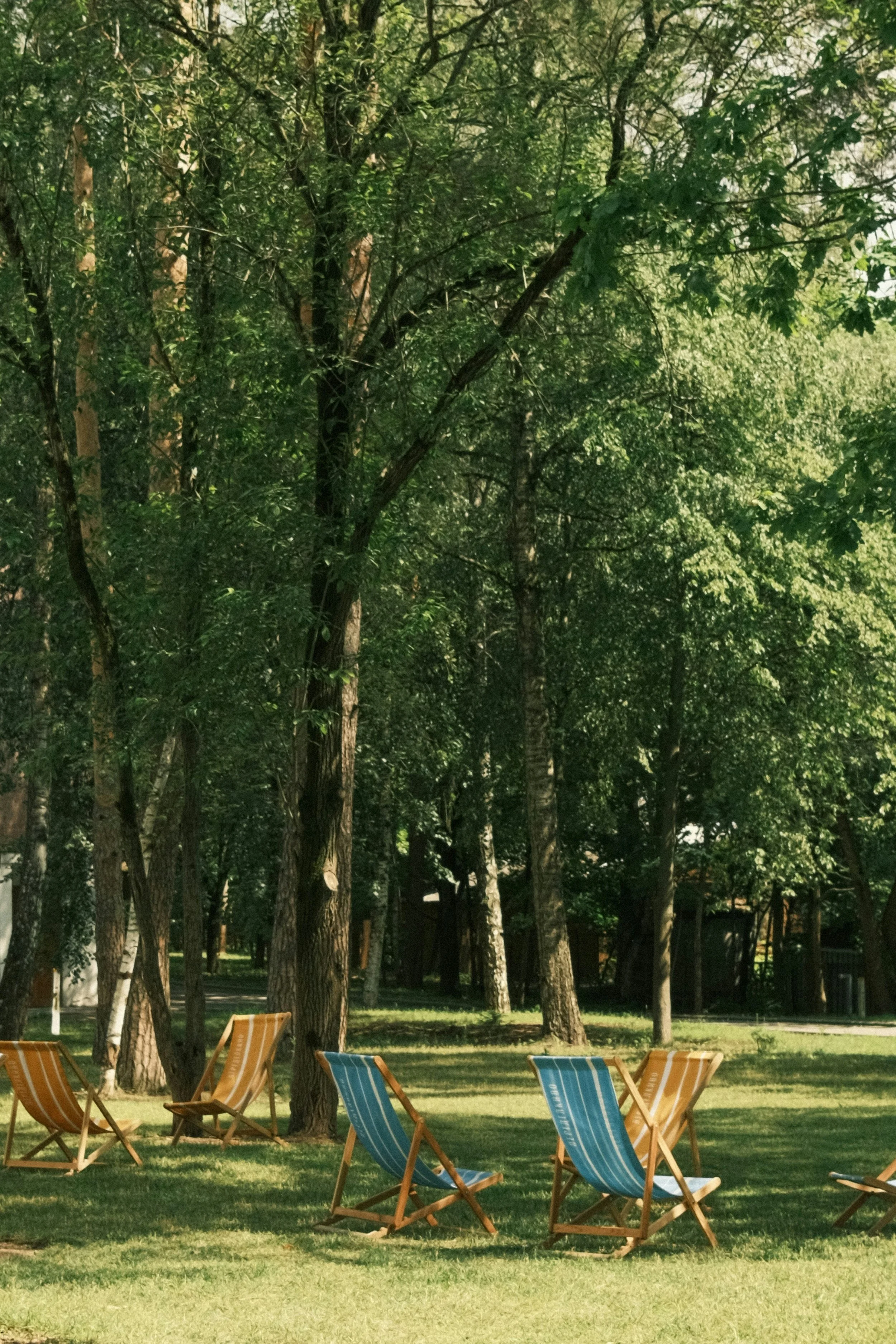 How to Create a Relaxing Outdoor Space for Better Wellness