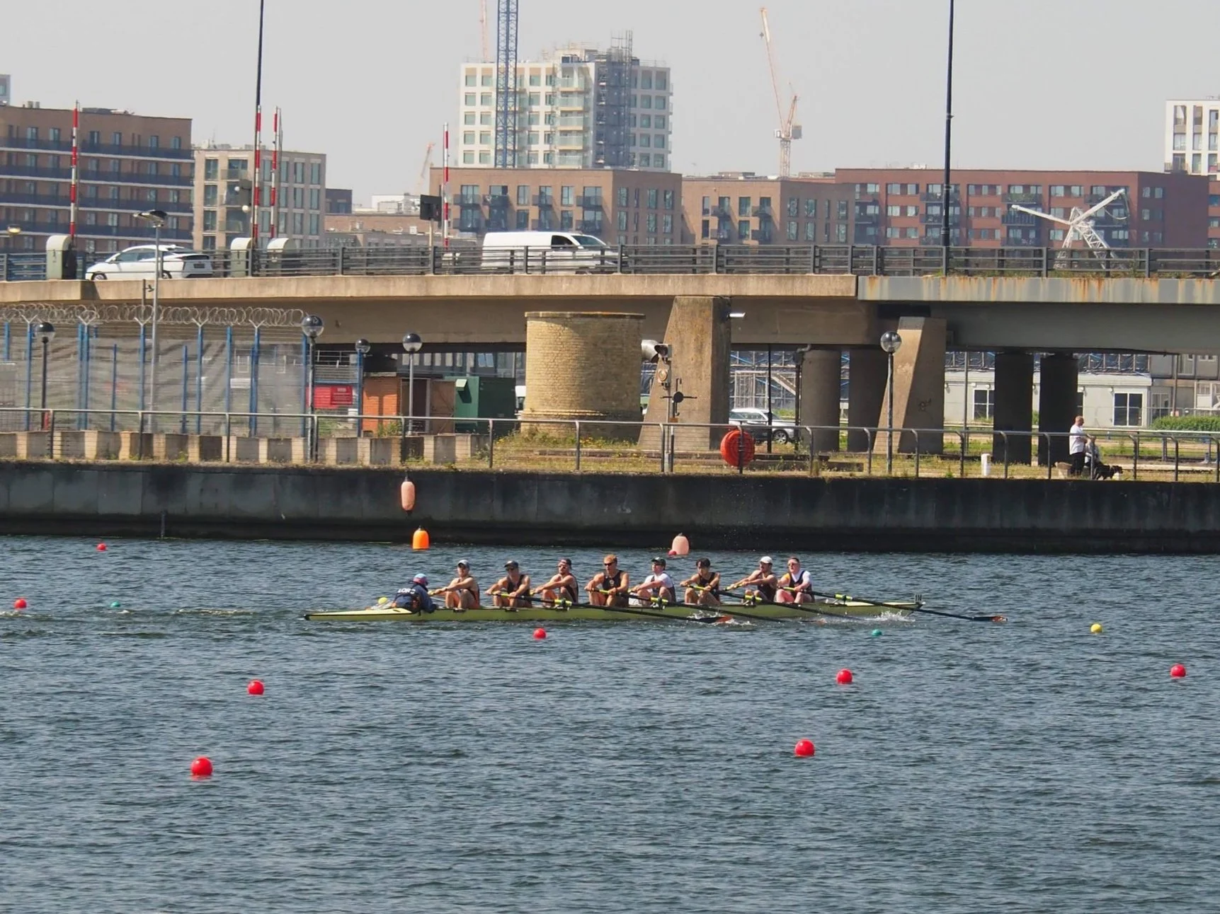 Poplar Regatta 2024