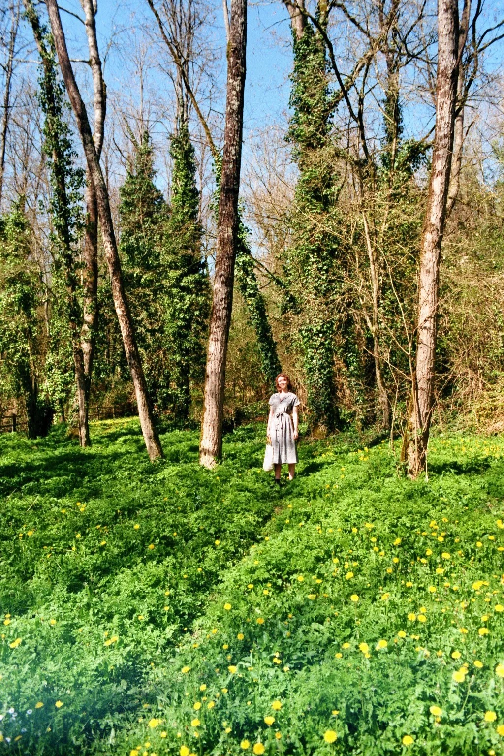 imm003_3.jpg