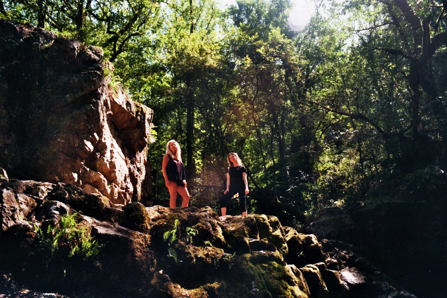 imm016_16A.jpg