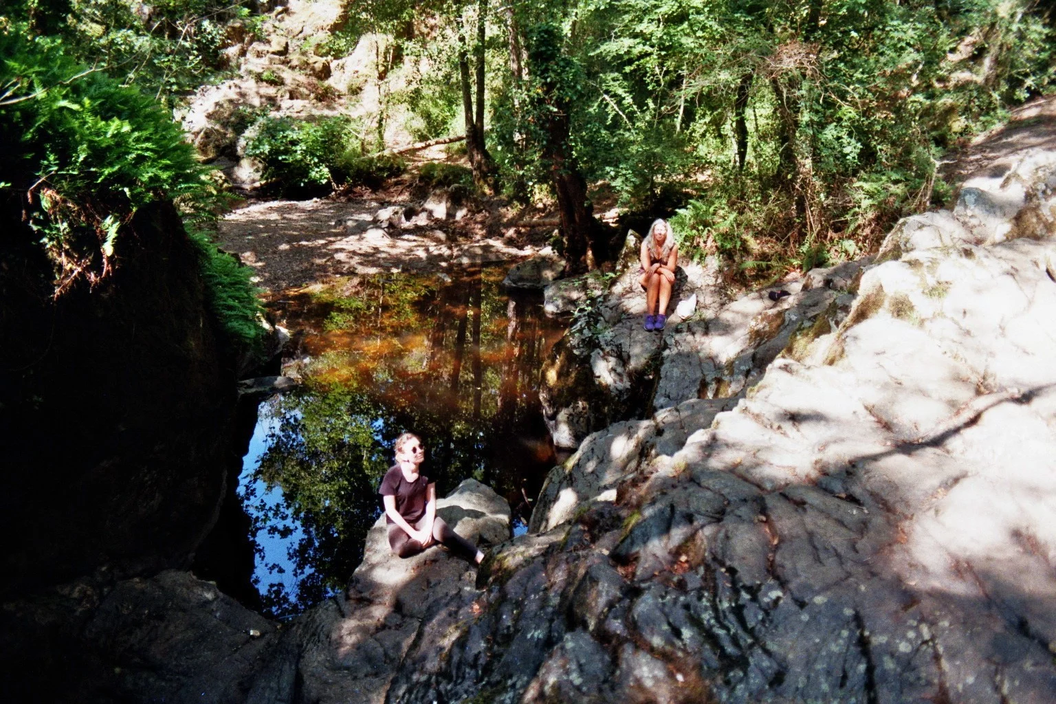 imm019_19A.jpg