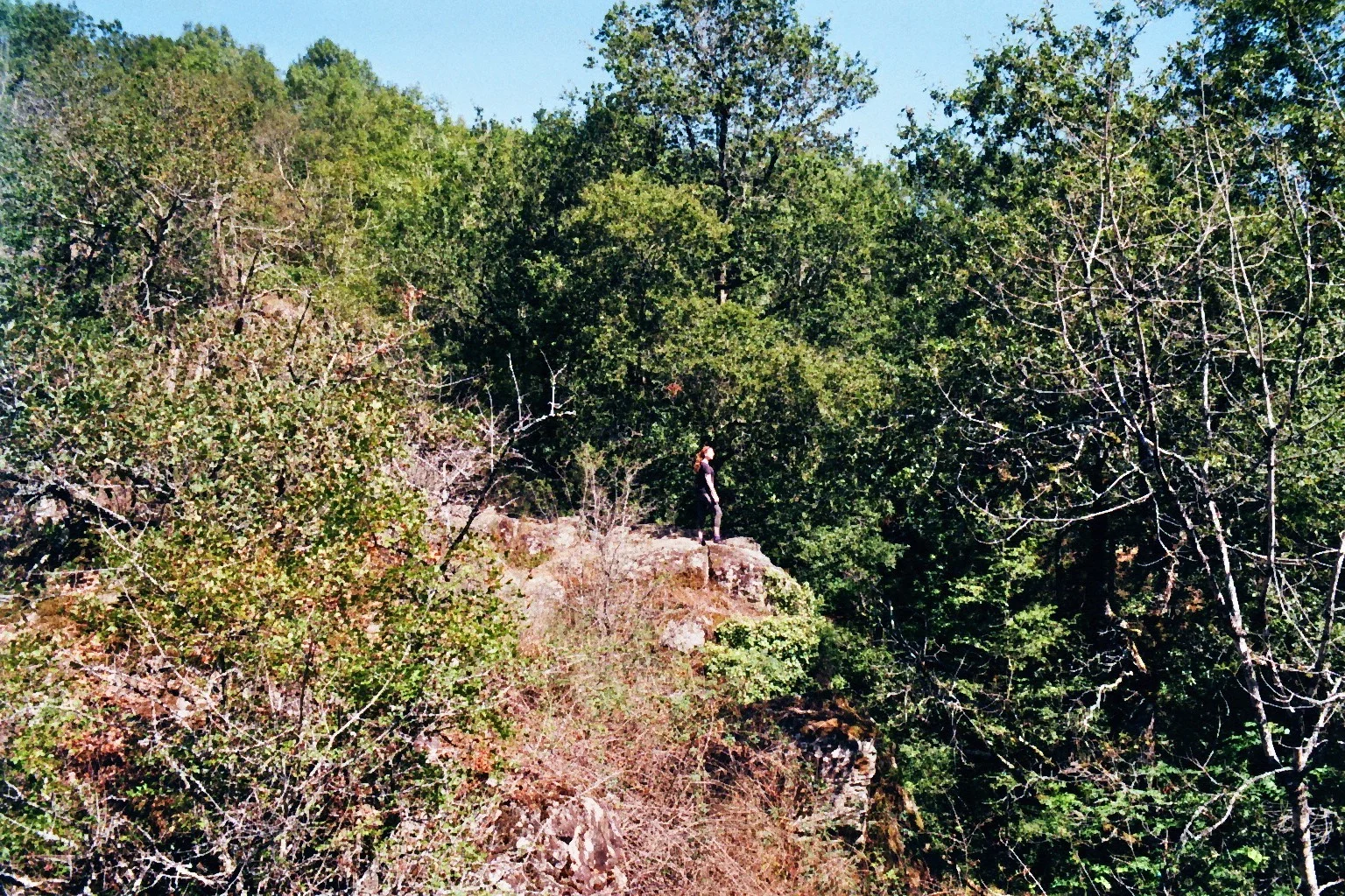 imm028_28A.jpg