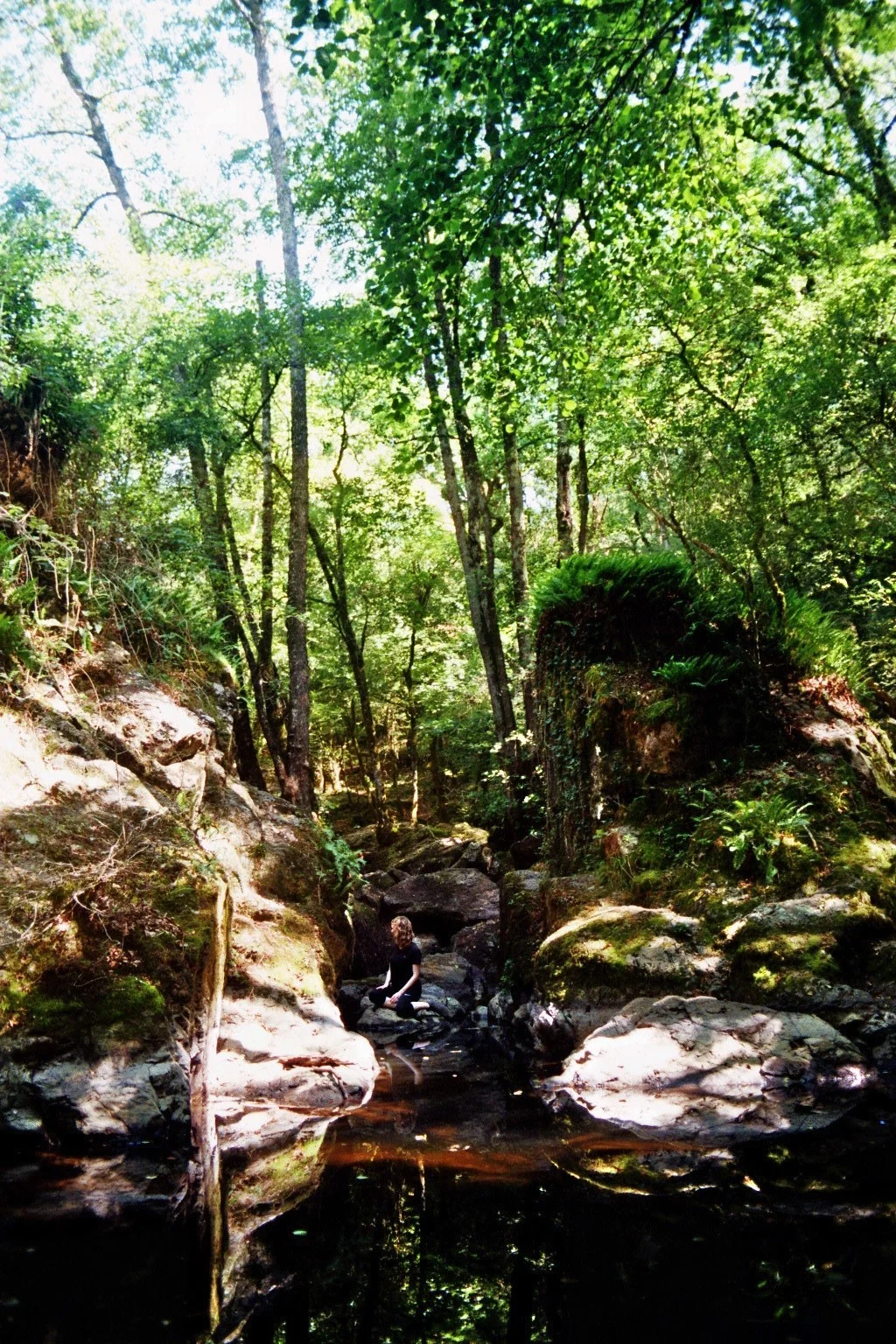 imm029_29A.jpg