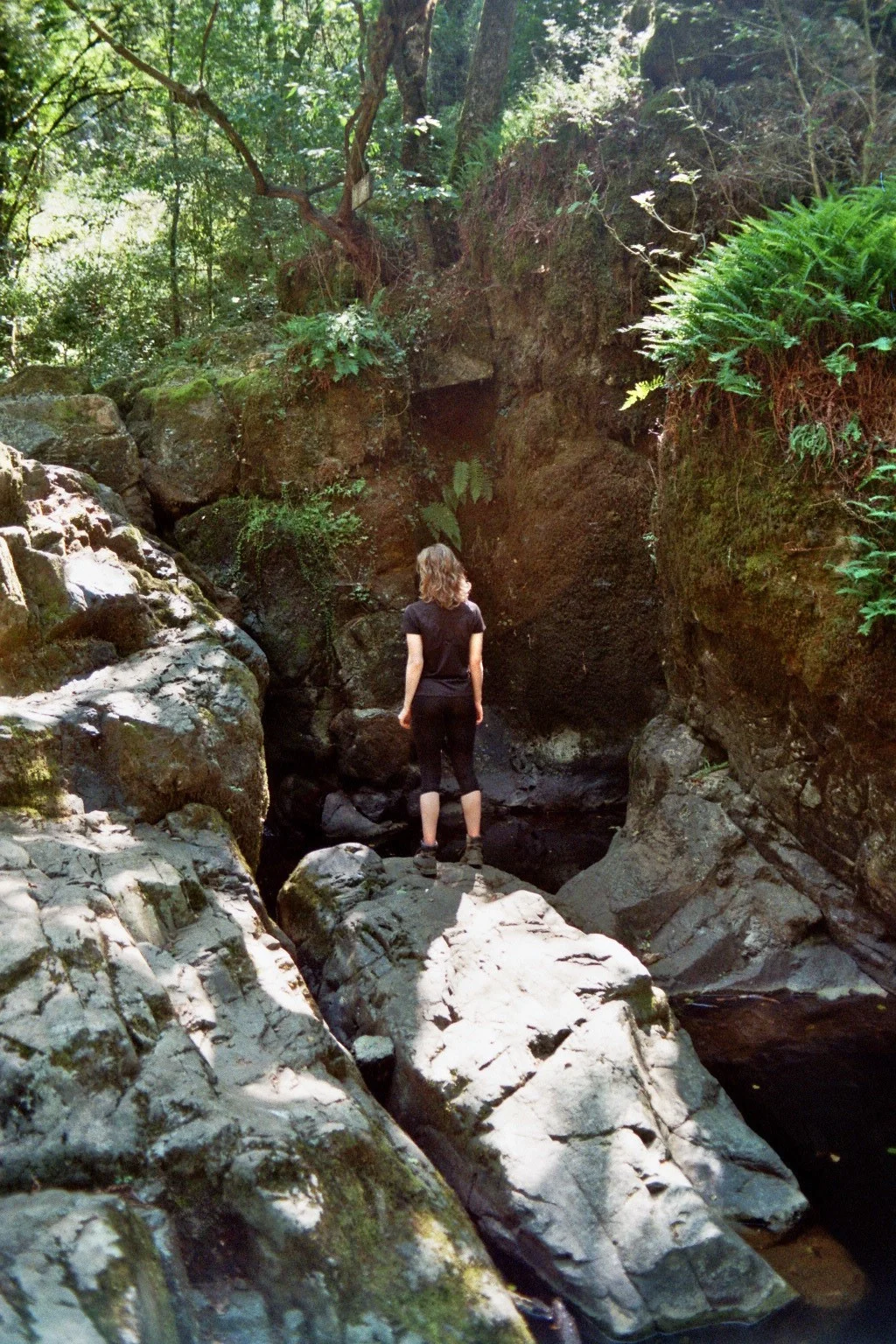 imm021_21A.jpg