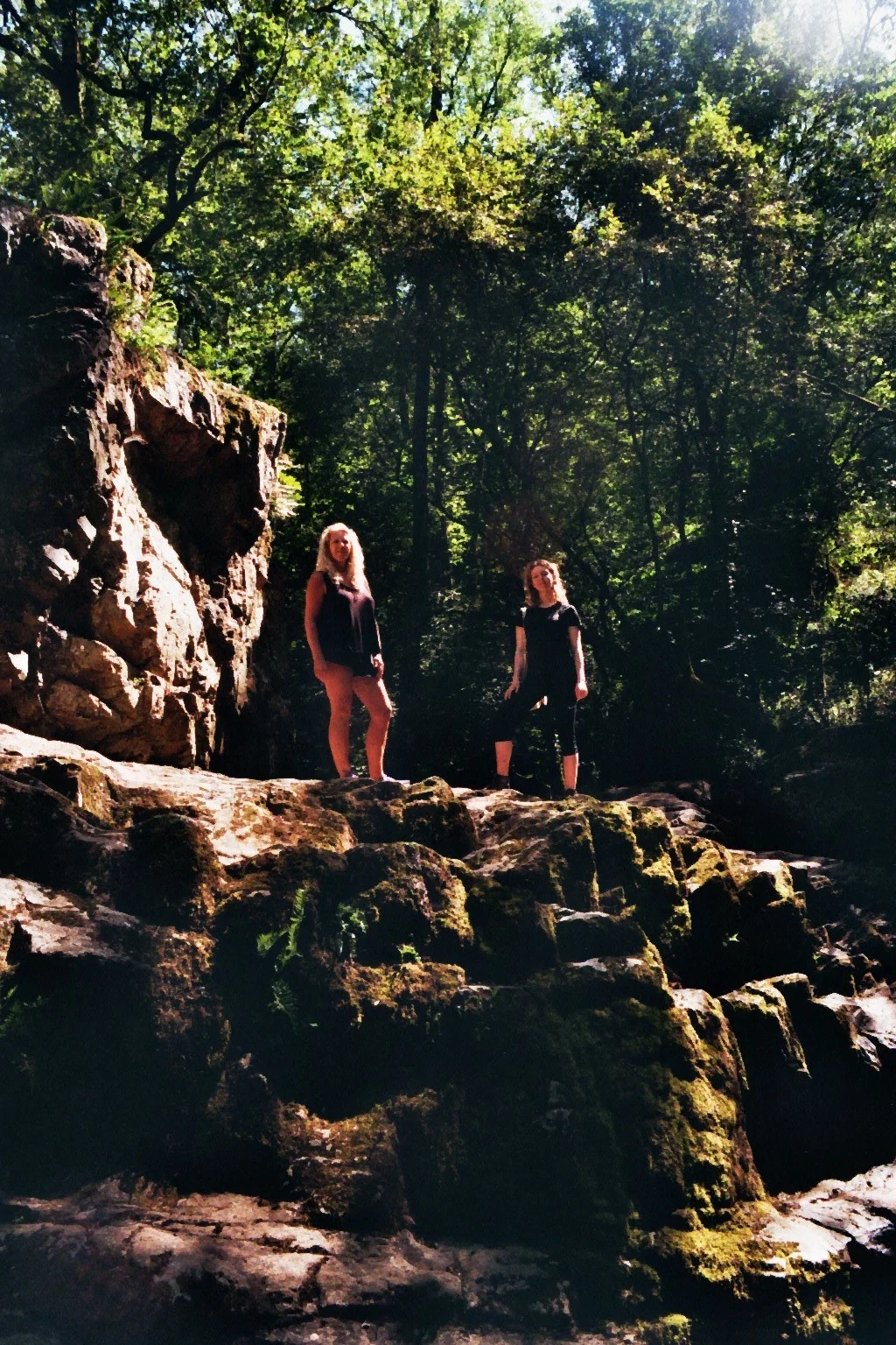 imm017_17A.jpg