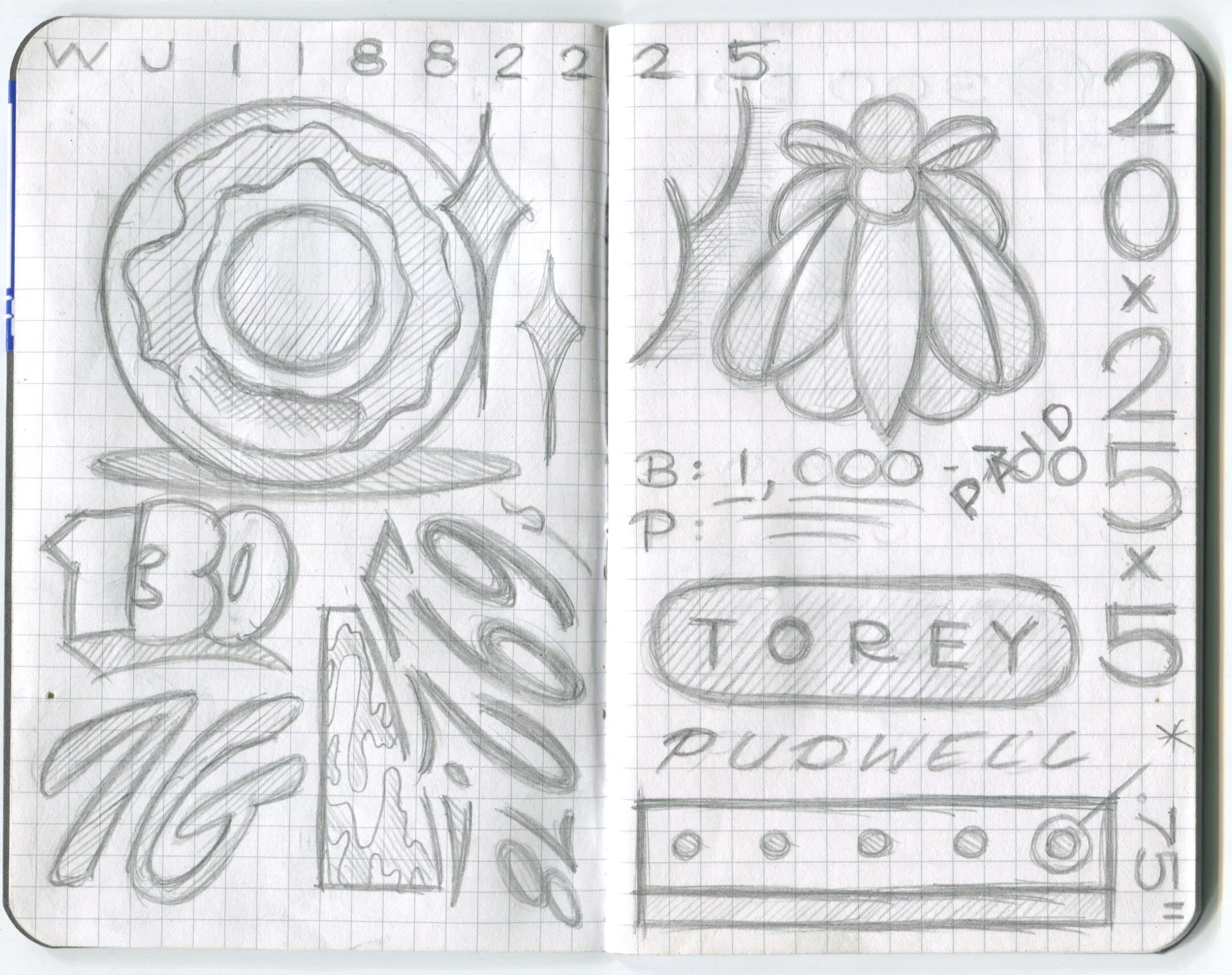 field notes.jpeg