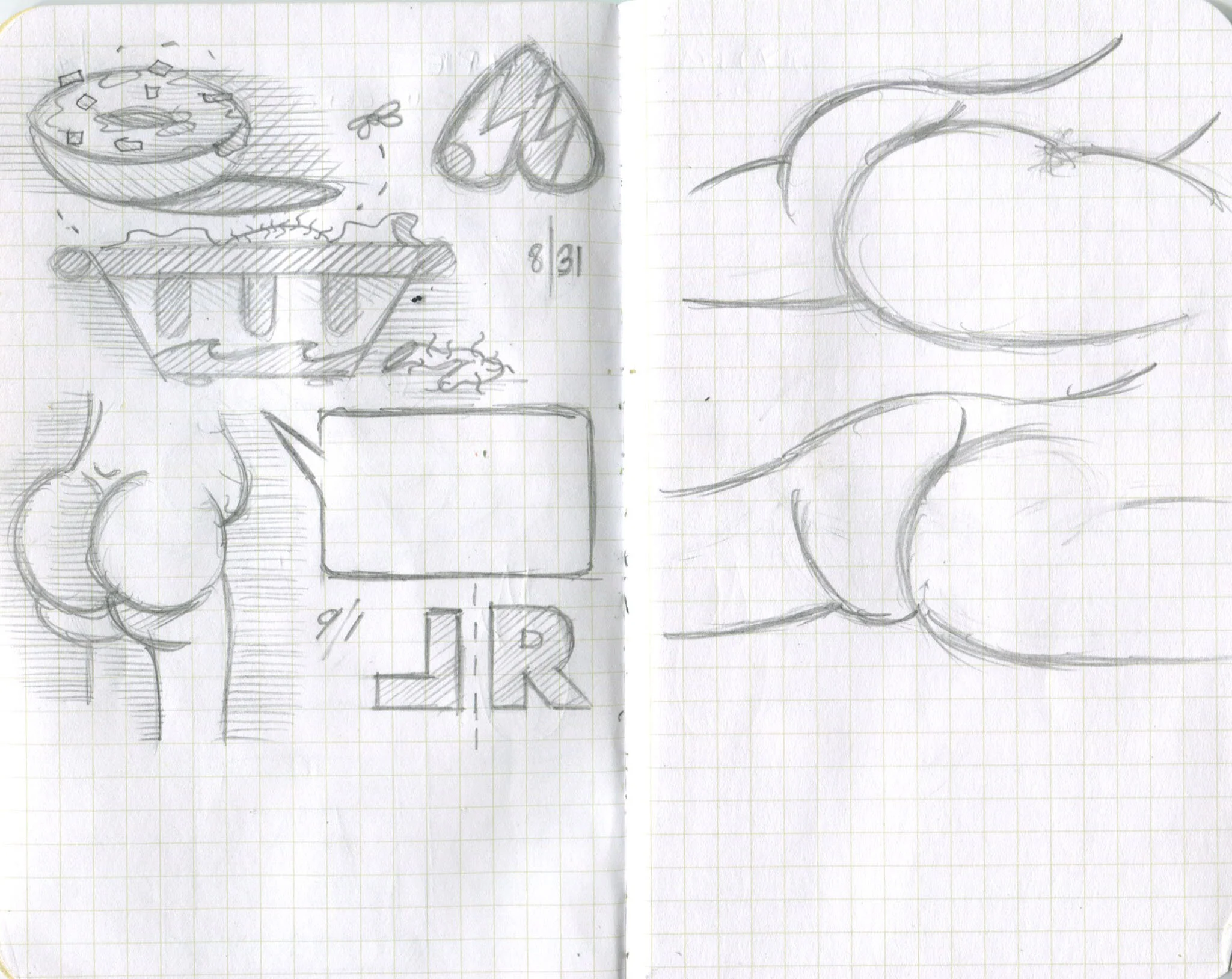 fieldnotes copy.jpeg