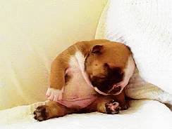 More sleep = less inflammation