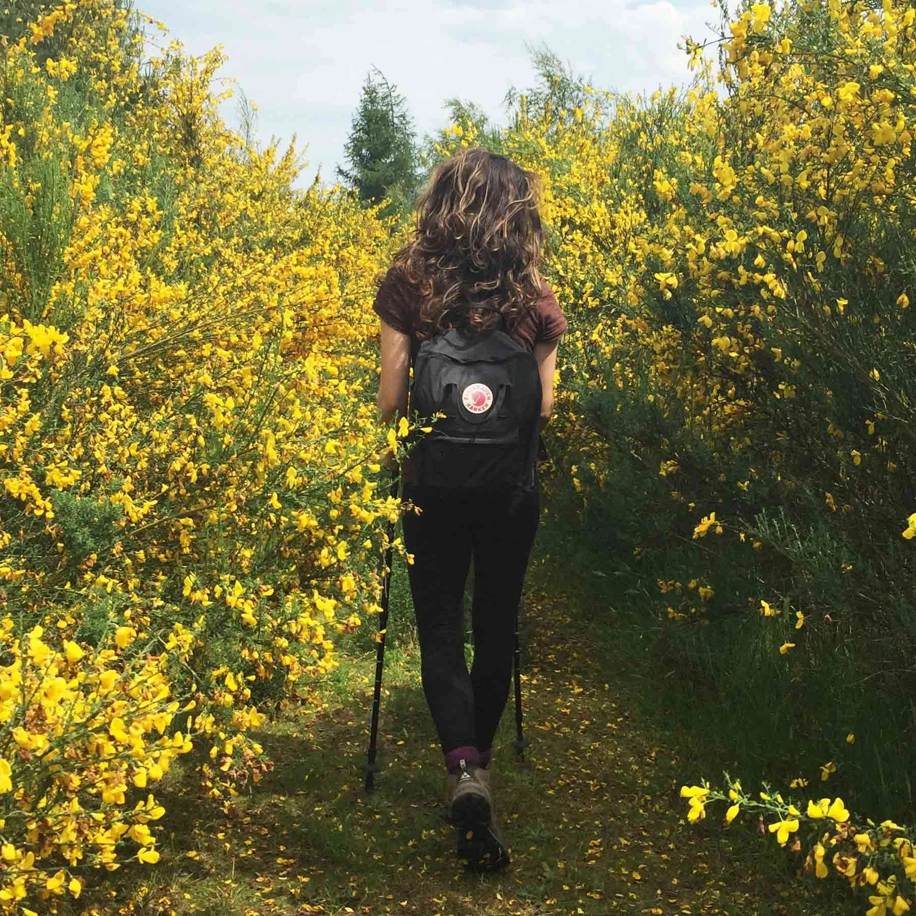 Even a brief stroll surrounded by nature can lower stress levels