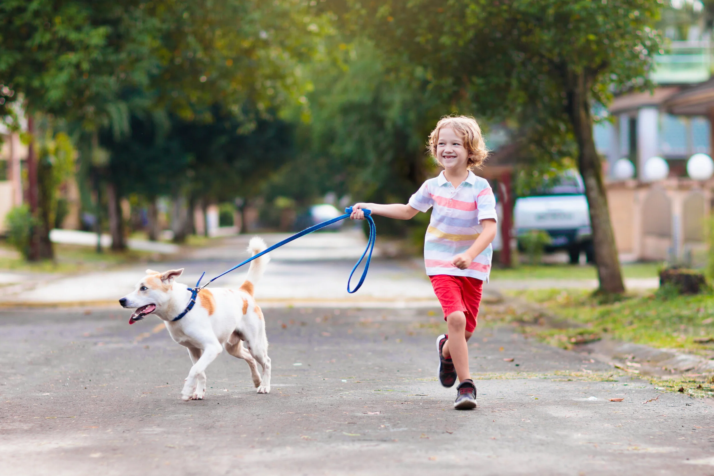 Five Reasons to Set Up Routines for Your Child