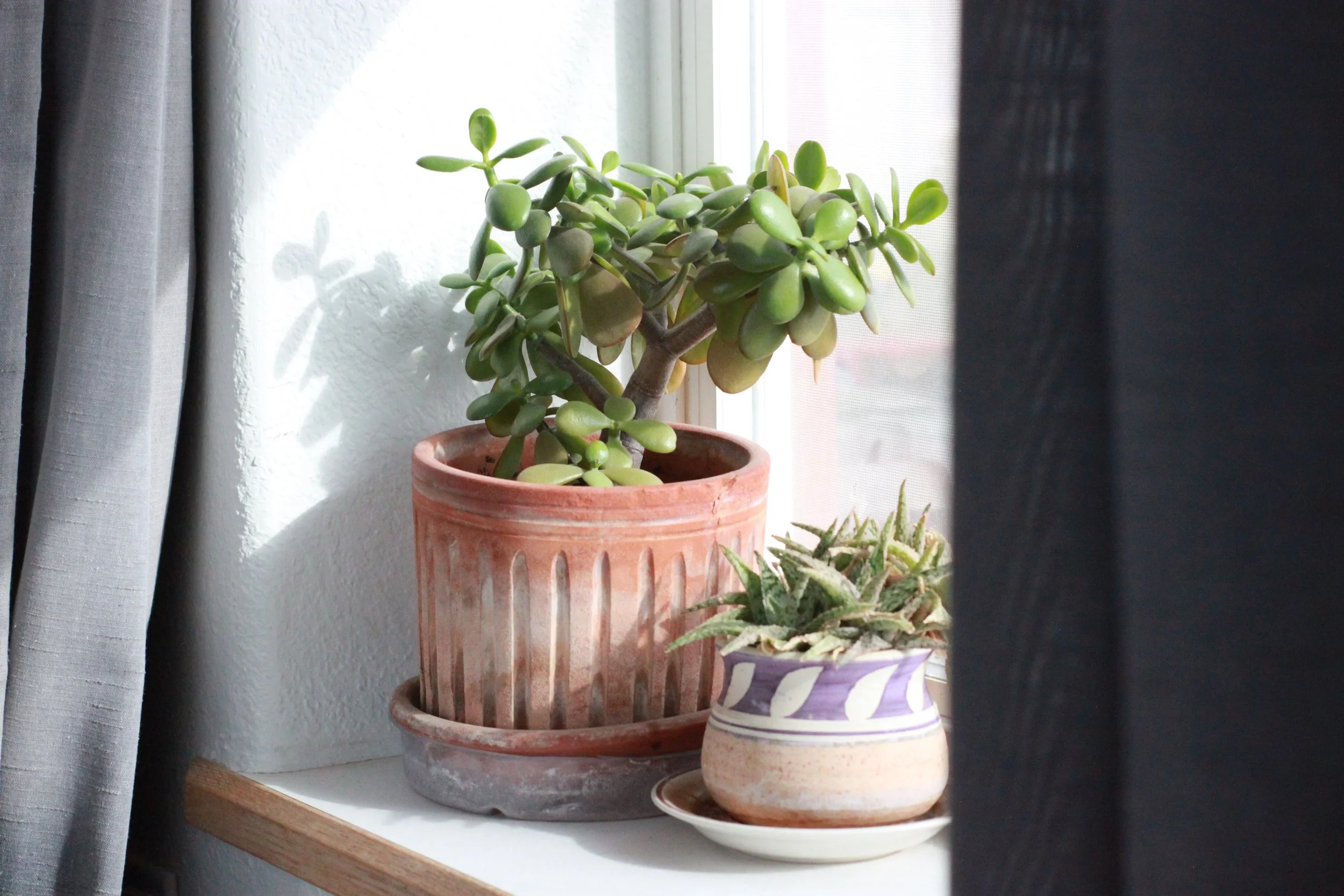 For the Love of Creativity Pt. 2