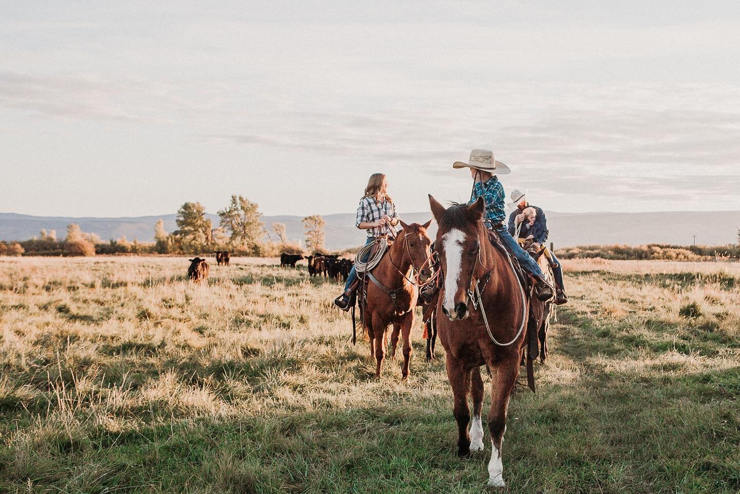 Breaking my IG &ldquo;fast&rdquo; today to share my latest for @coffeeandcrumbs, all about legacy, the good steaks, and letting our kids choose their own path in life. I&rsquo;m incredibly proud of both the words and the life, and would be so honored