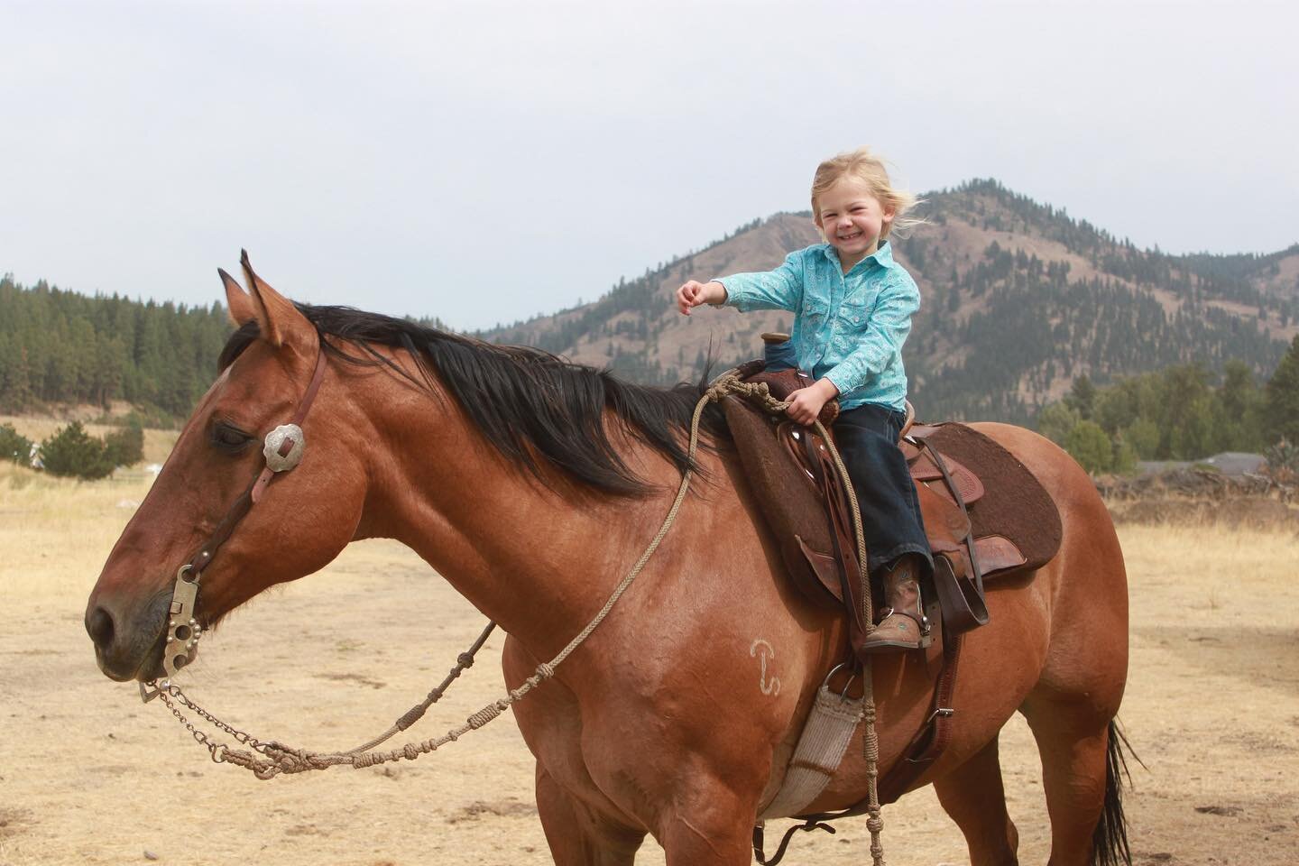 I think I&rsquo;ll always remember this summer as the summer Maggie learned to really ride. Though she rode independently for most of July and August last summer, she was reluctant and clumsy, quick to pull her horse &ldquo;Big Jake&rdquo; back from 
