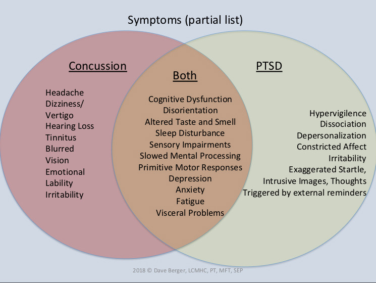 Concussions and PTSD Sx Overlap.jpeg