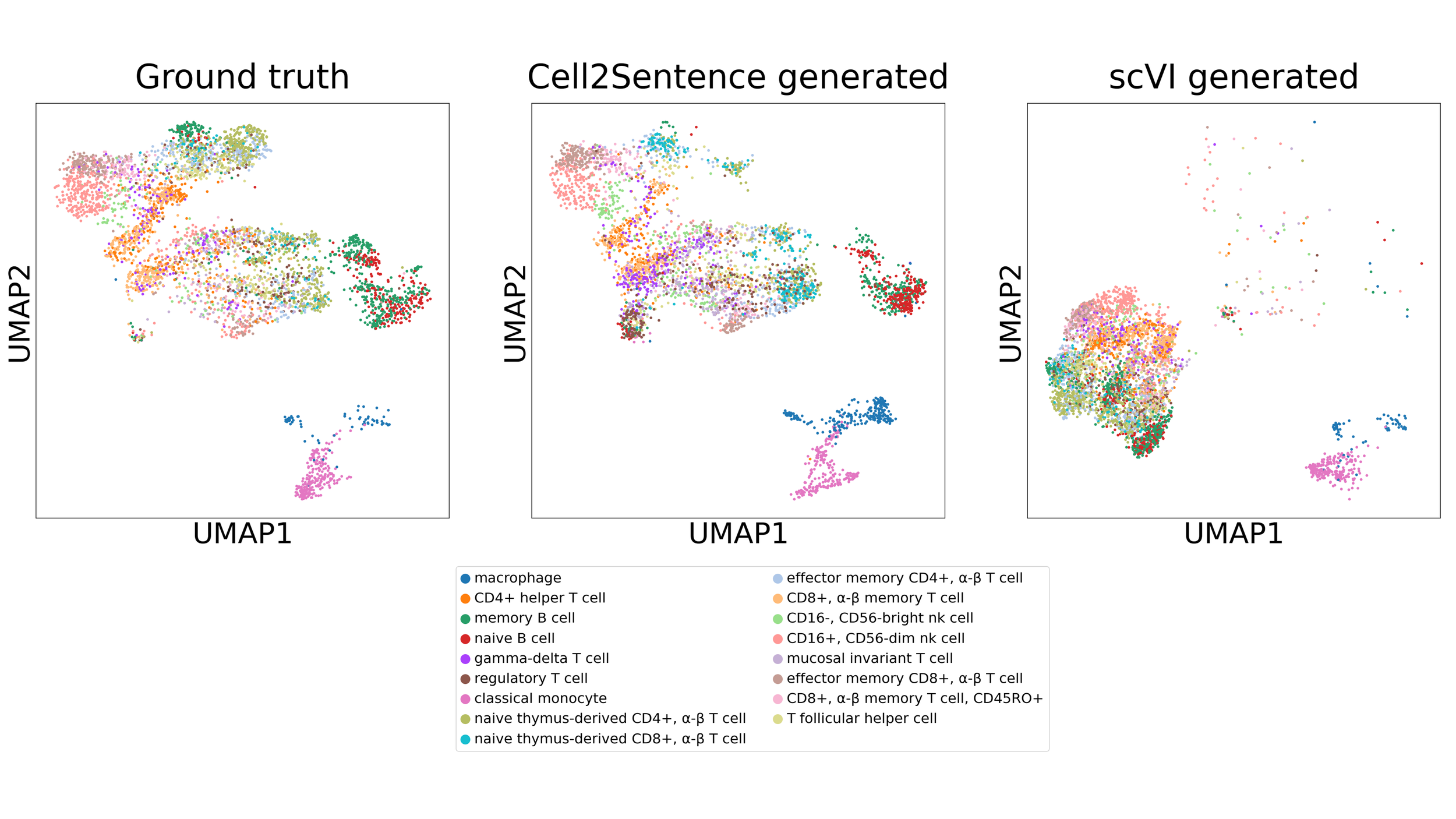 scVI_umap_celltype.png